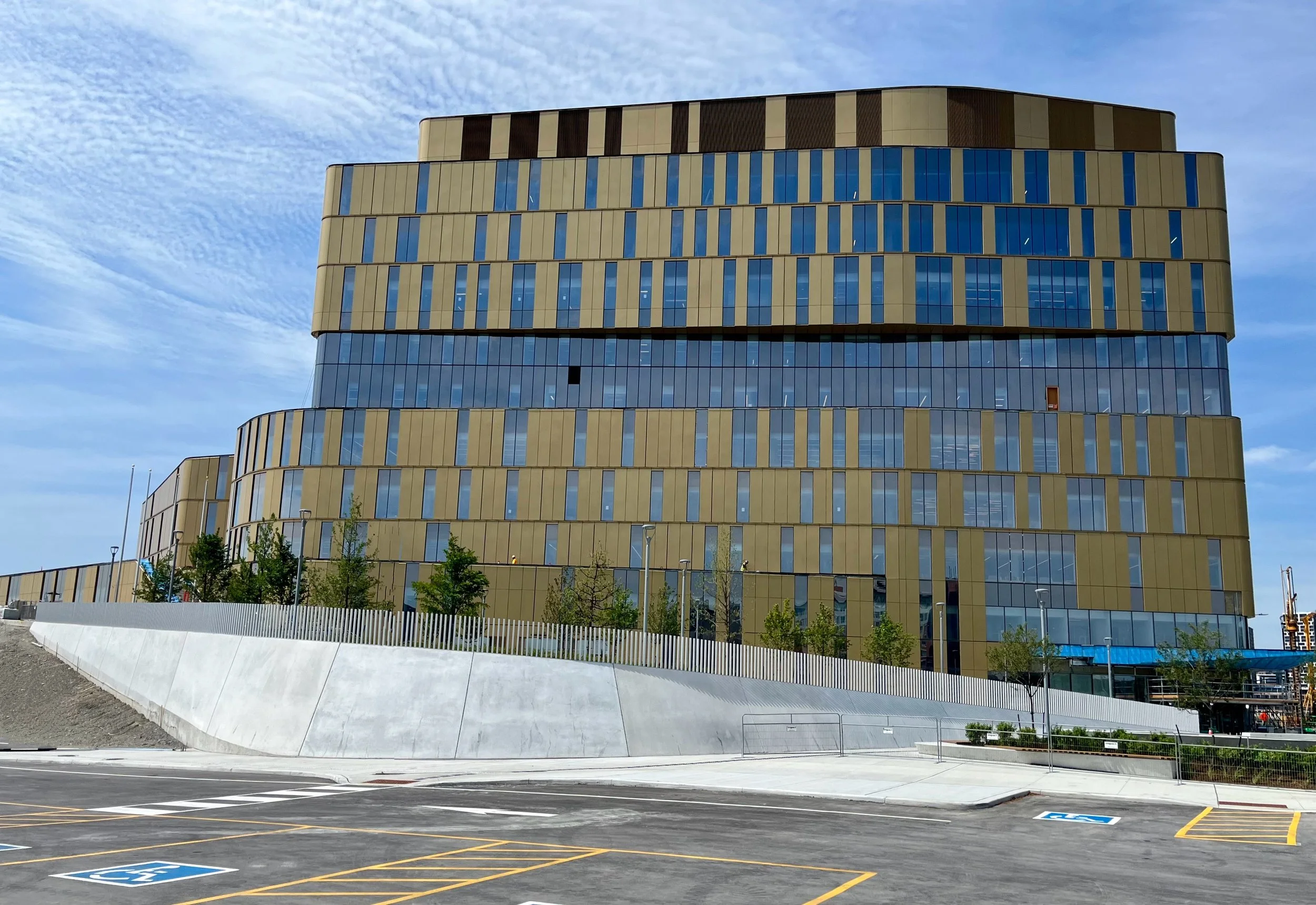 York U.jpg
