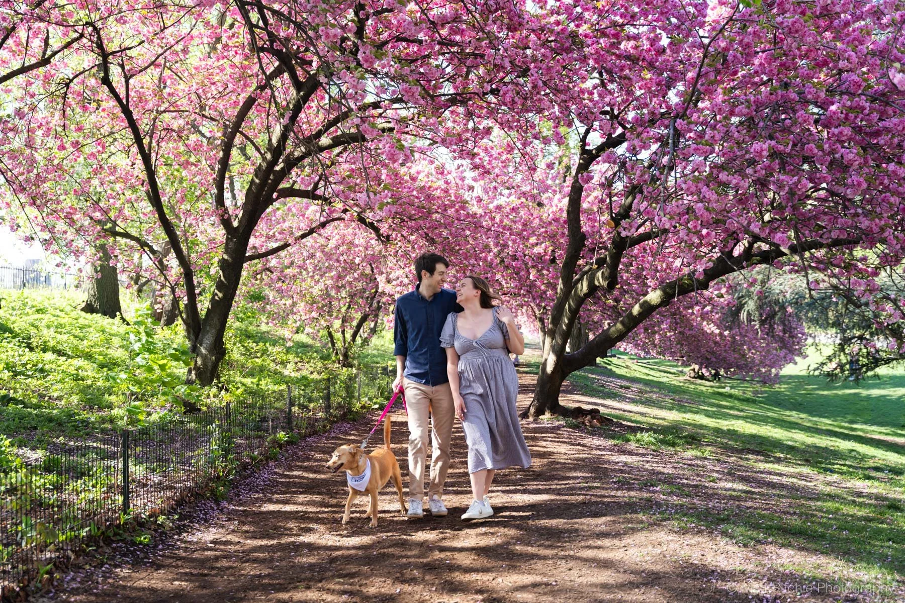 Central-Park-Cherry-Blossom-Proposal-MRP07868.jpg