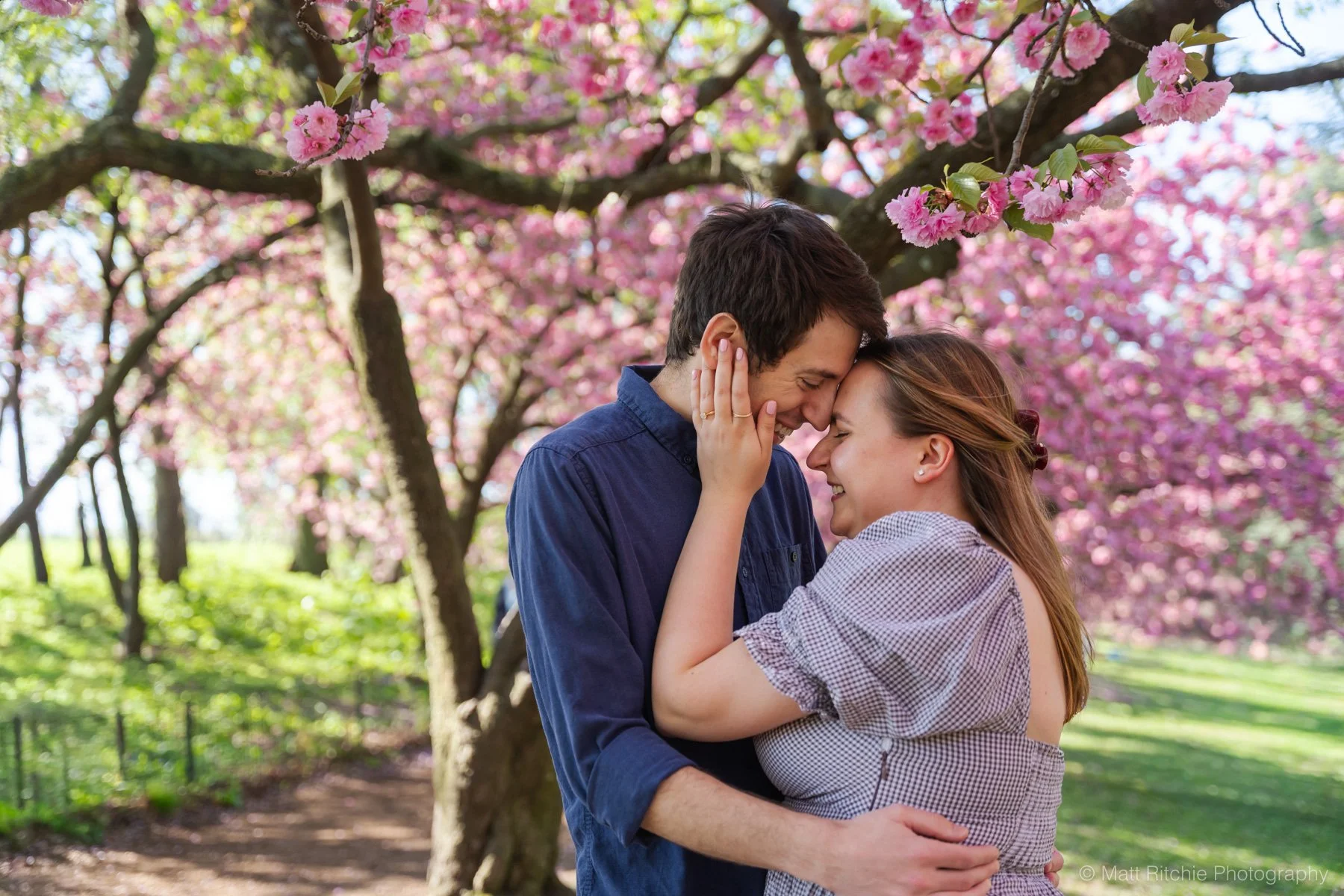 Central-Park-Cherry-Blossom-Proposal-MRP08307.jpg