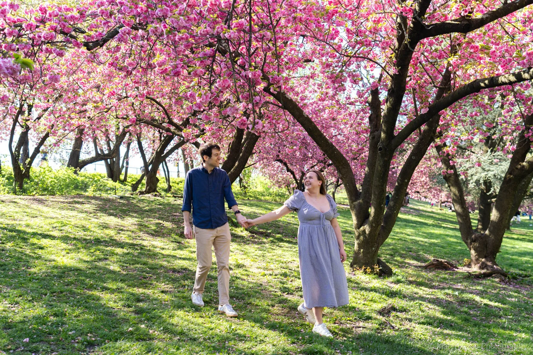 Central-Park-Cherry-Blossom-Proposal-MRP08051.jpg