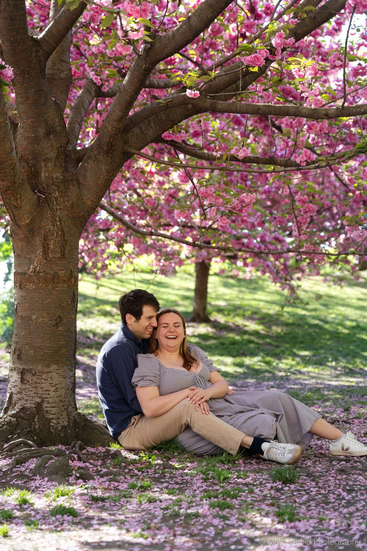 Central-Park-Cherry-Blossom-Proposal-MRP07946.jpg