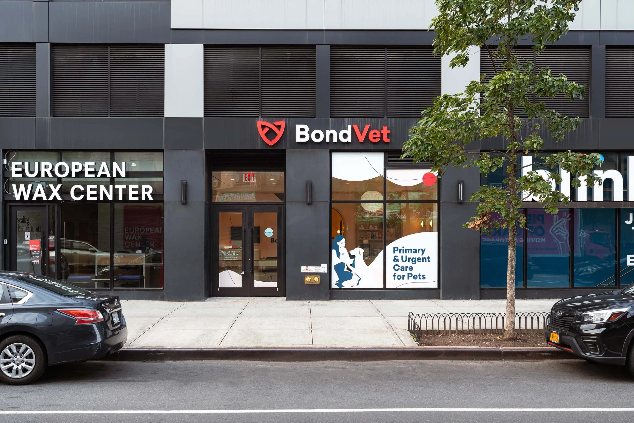 Bond_Vet_Bedstuy_MRP02180.jpg