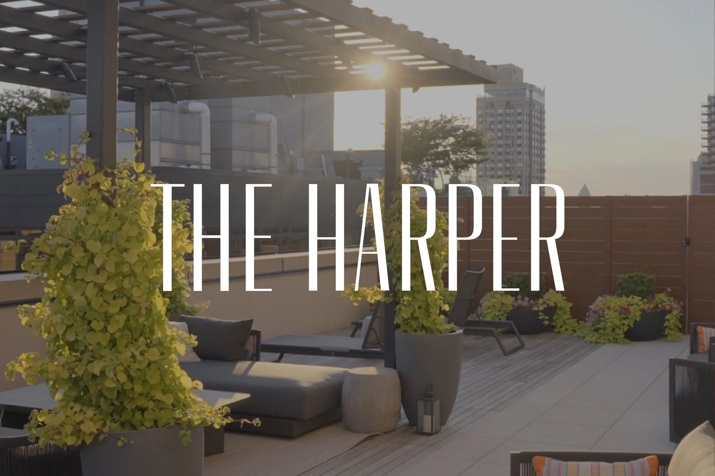 The Harper Cover.jpg