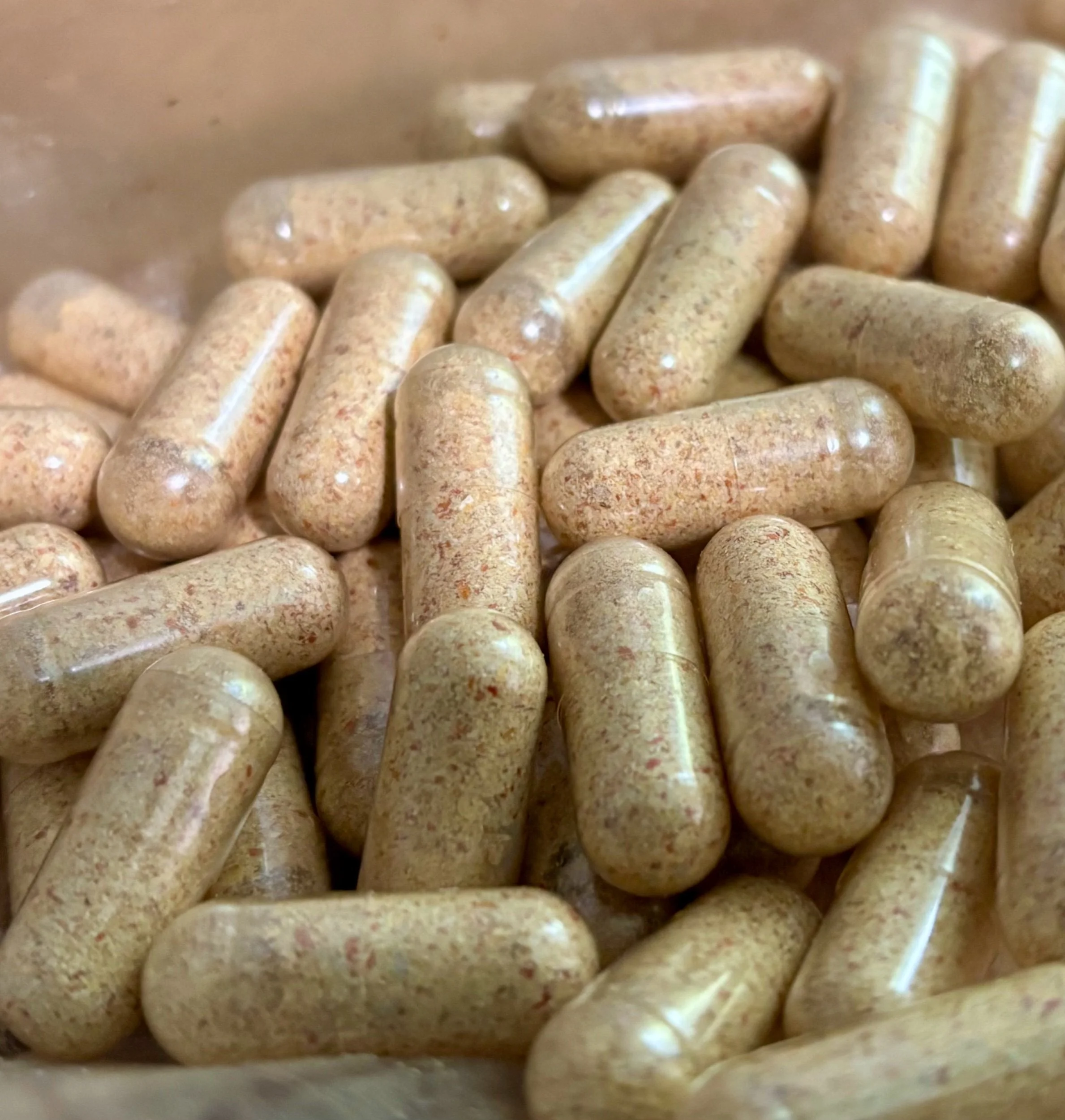 Amanita Muscaria Mushroom .5g/500mg capsules