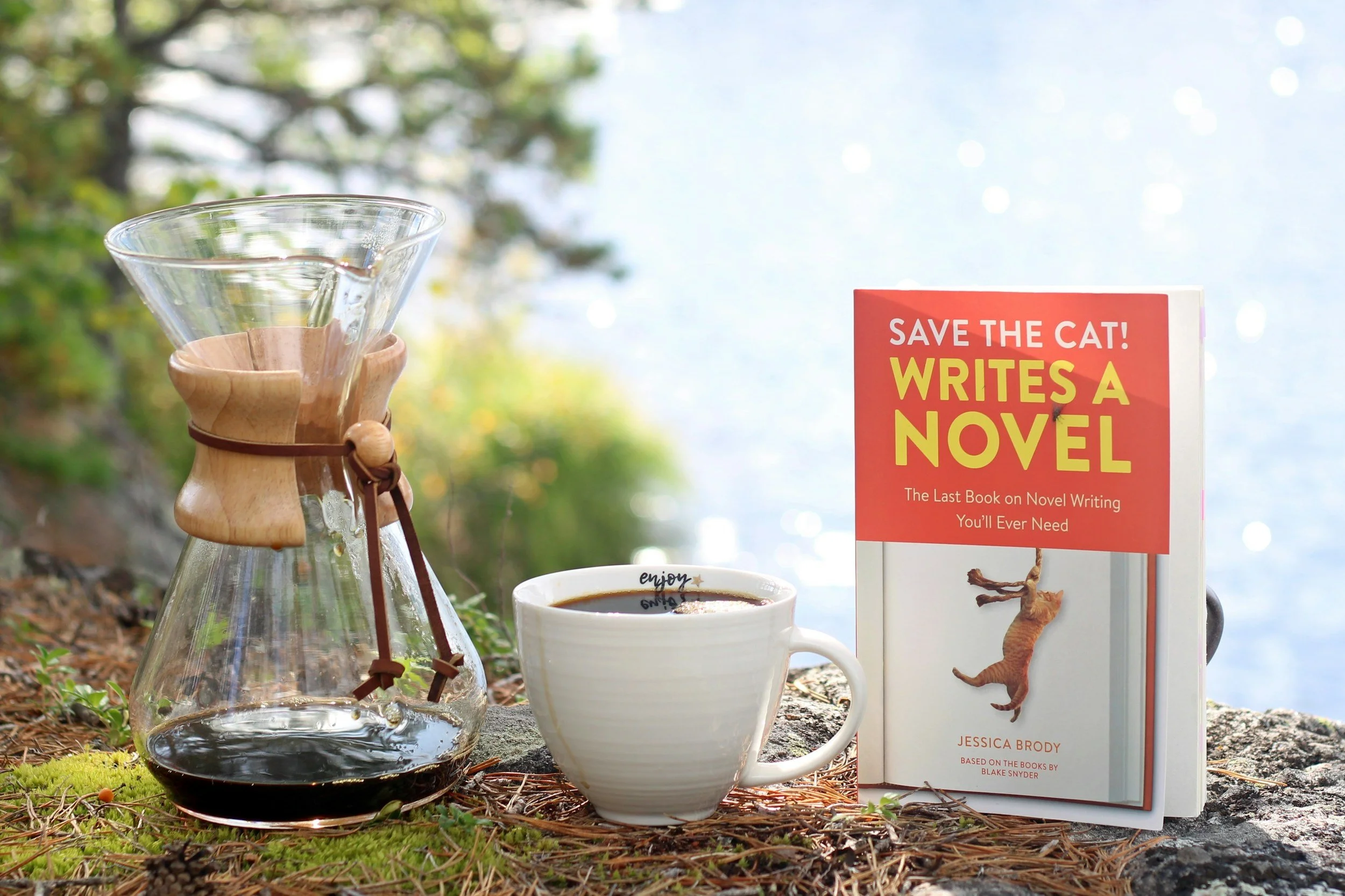 210:  How to Write Your Book in 2026