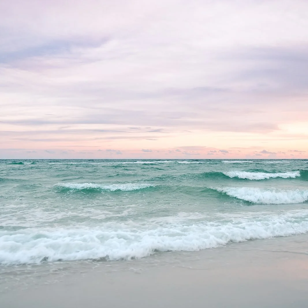 Another something beautiful 

#beautiful #beauty #beautifulplaces #home #gulfcoast #gulfcoastbeaches #orangebeachalabama #beach #oceanvibe #beachlife #beachvibe