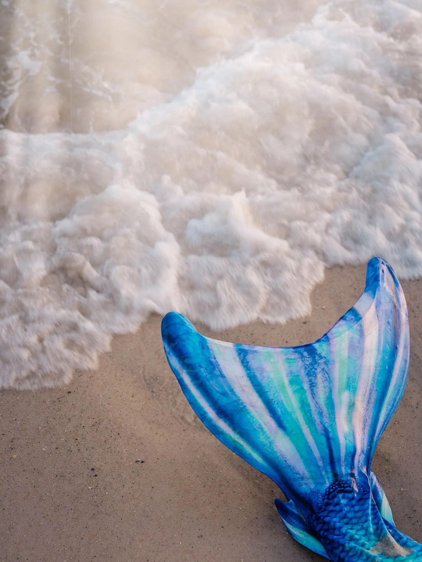 Spotted a mermaid today 🐚