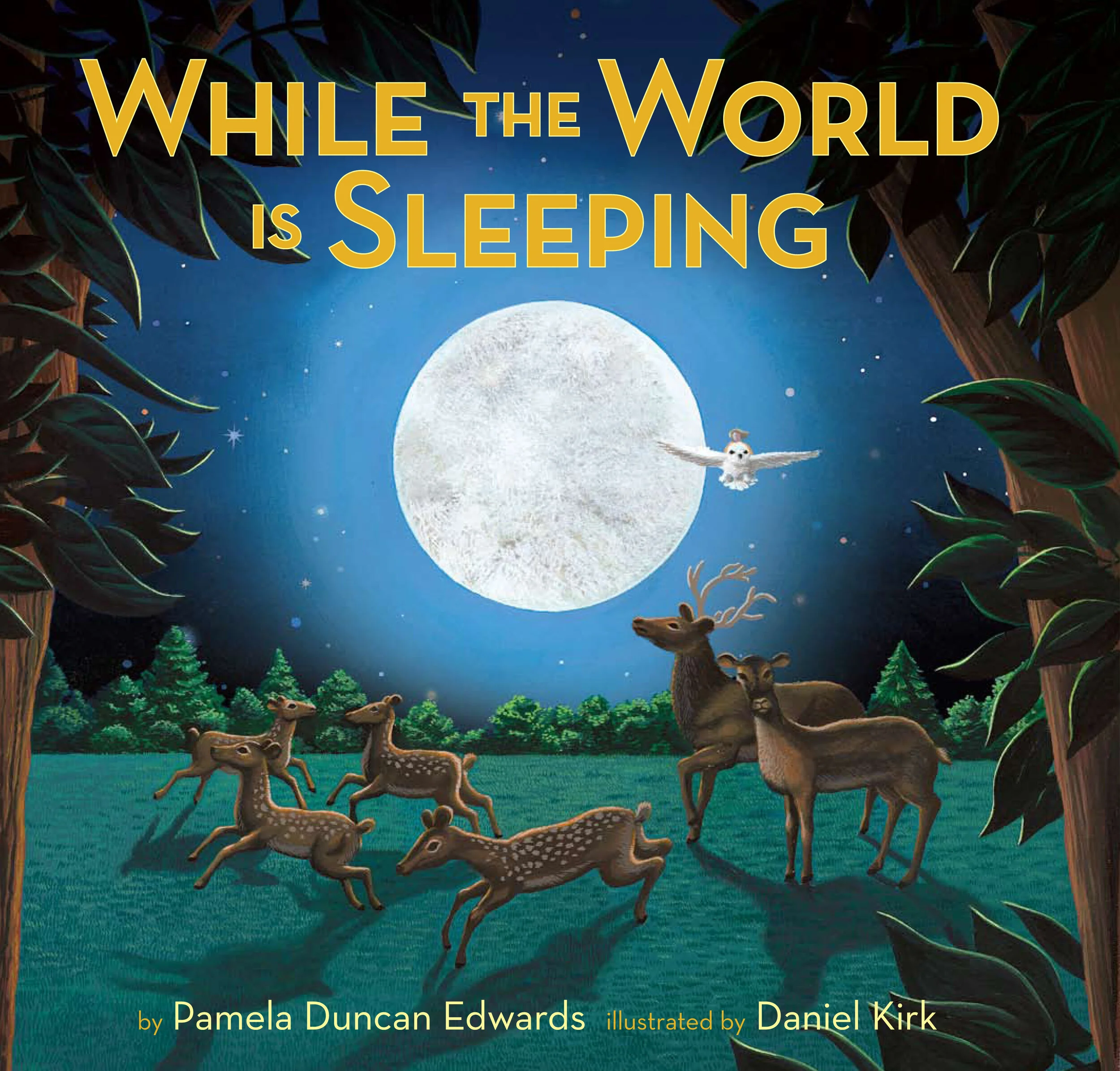 while the world cover.jpg