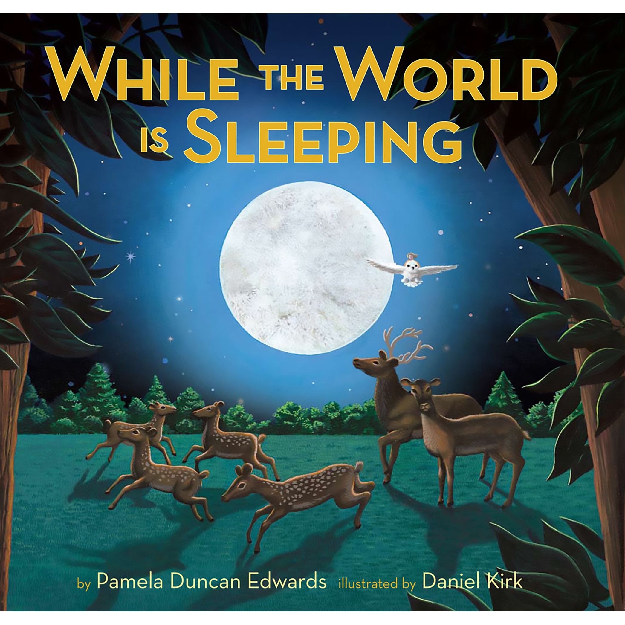 while the world cover.jpg