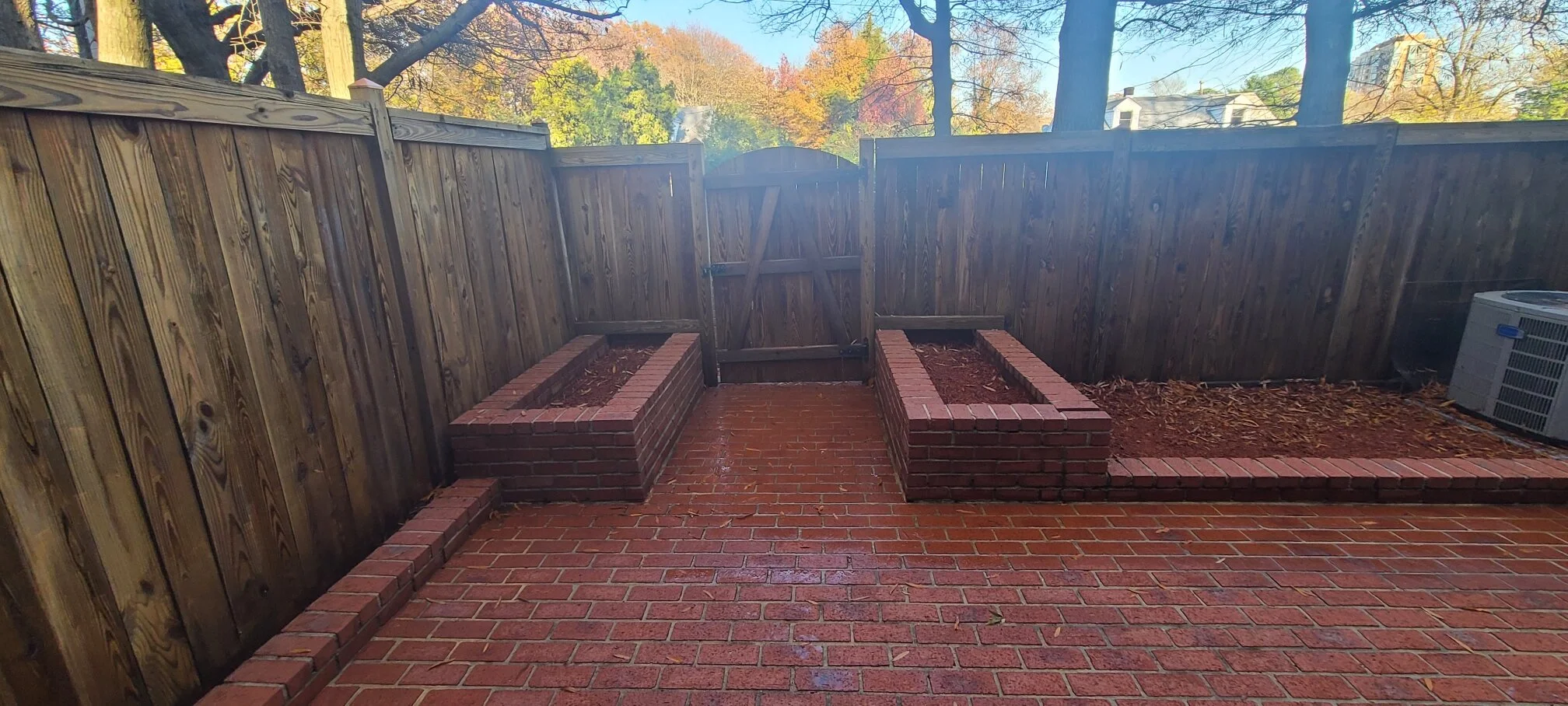 Resized_20201113_153123_20201113_153333 (1).jpeg