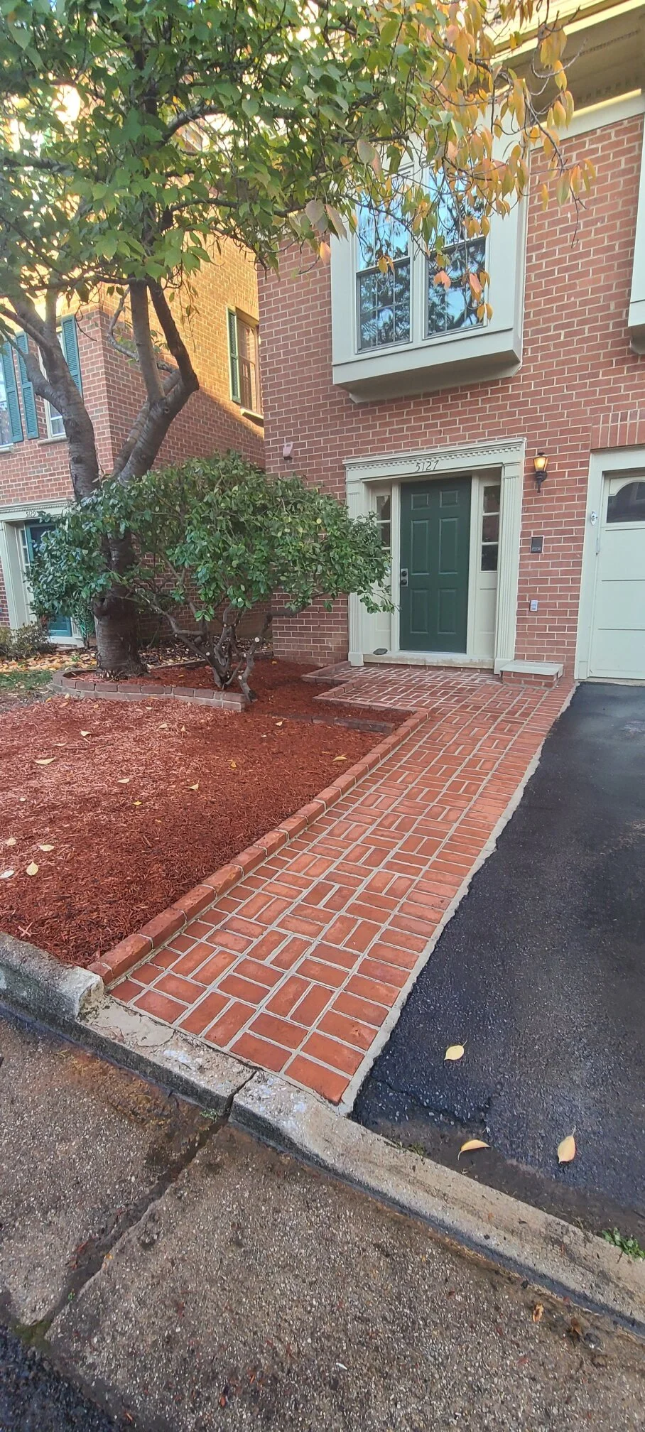 Resized_20201113_152934_20201113_153342 (1).jpeg