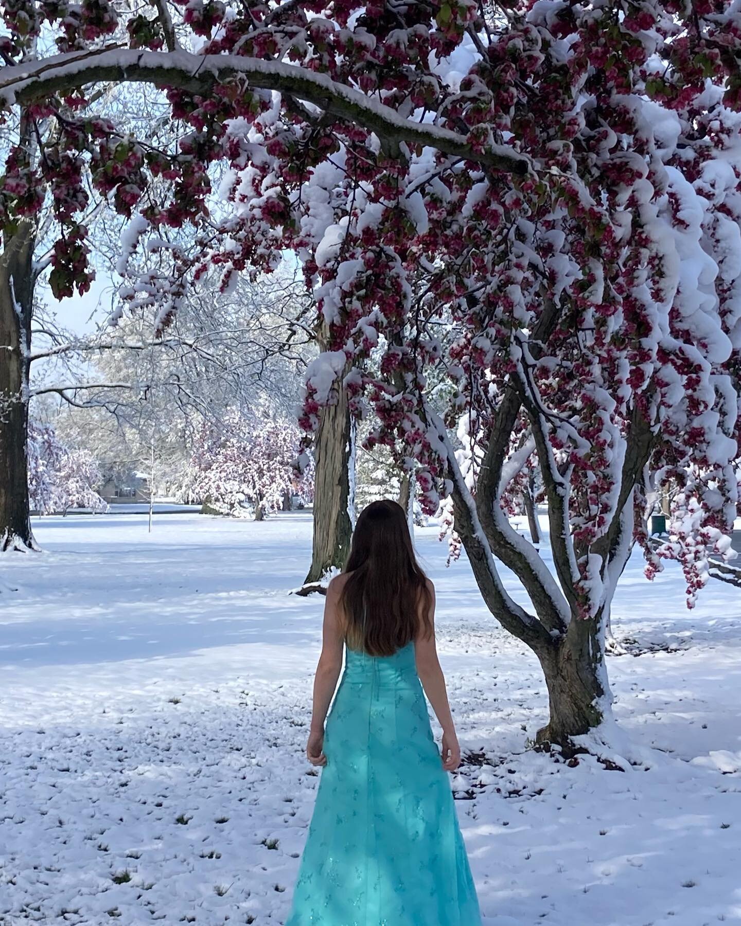 ❄️The cold never bothered me anyway.☃️

When it snowed, I had to take the opportunity to take pictures in my prom dress. I feel like Elsa. :D