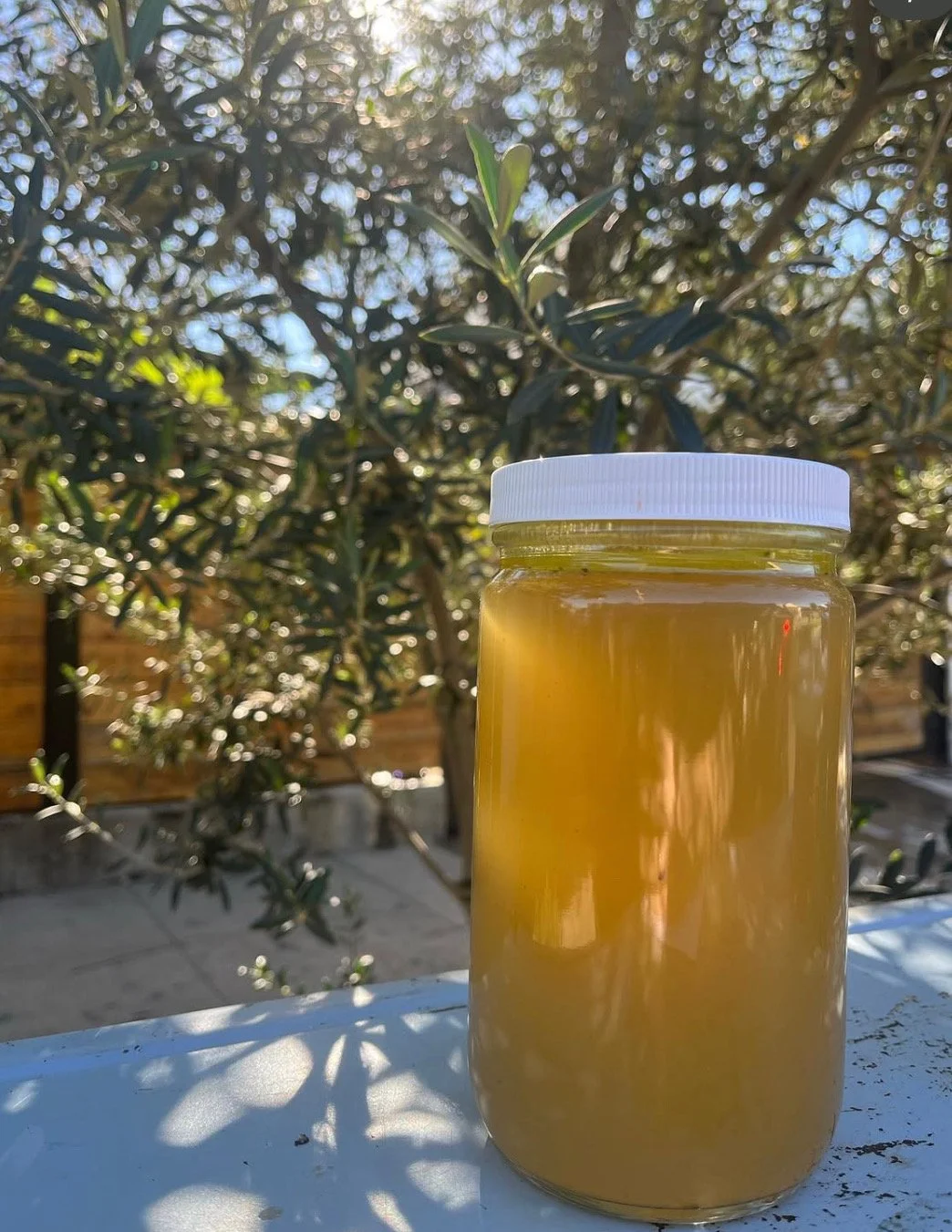 BONE BROTH