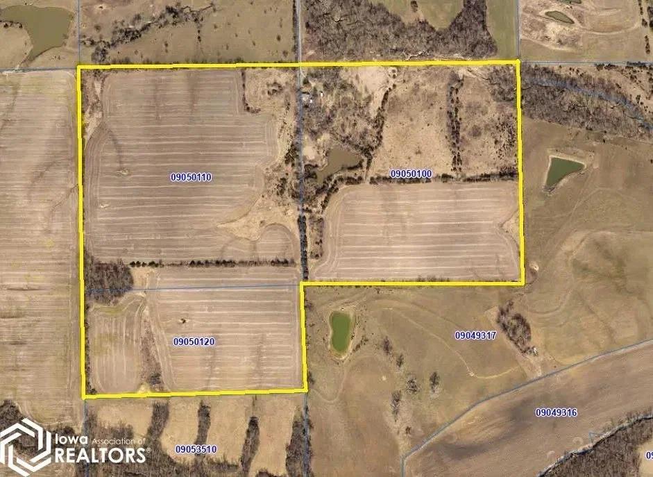 Davis County Land Auction