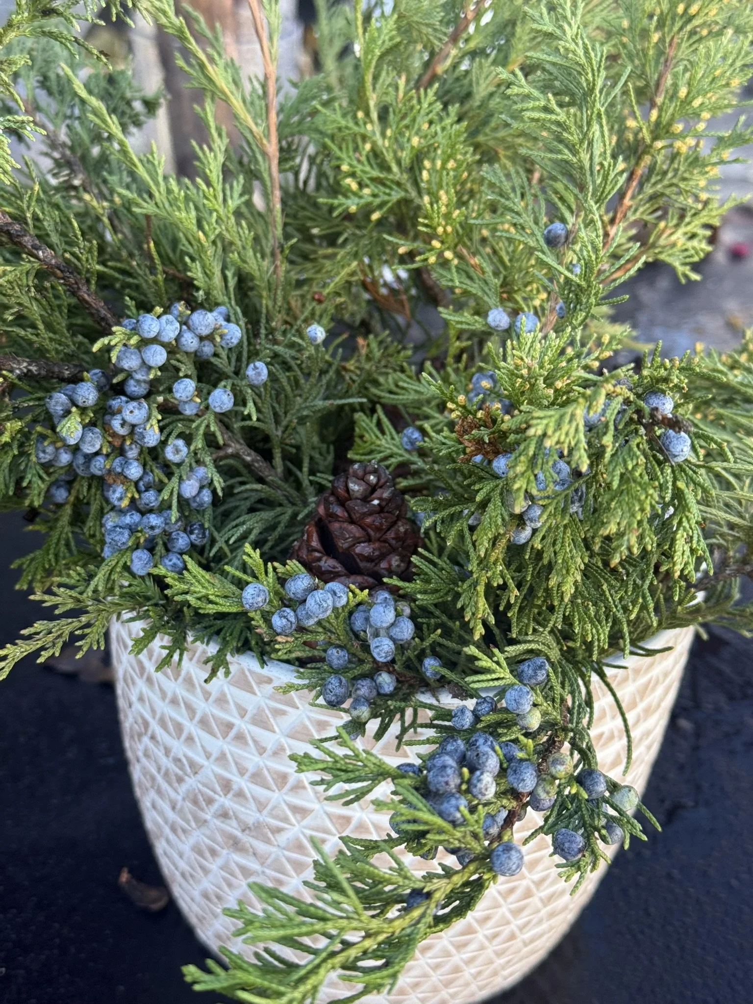 POP UP! Live Auction December 5th, 2025