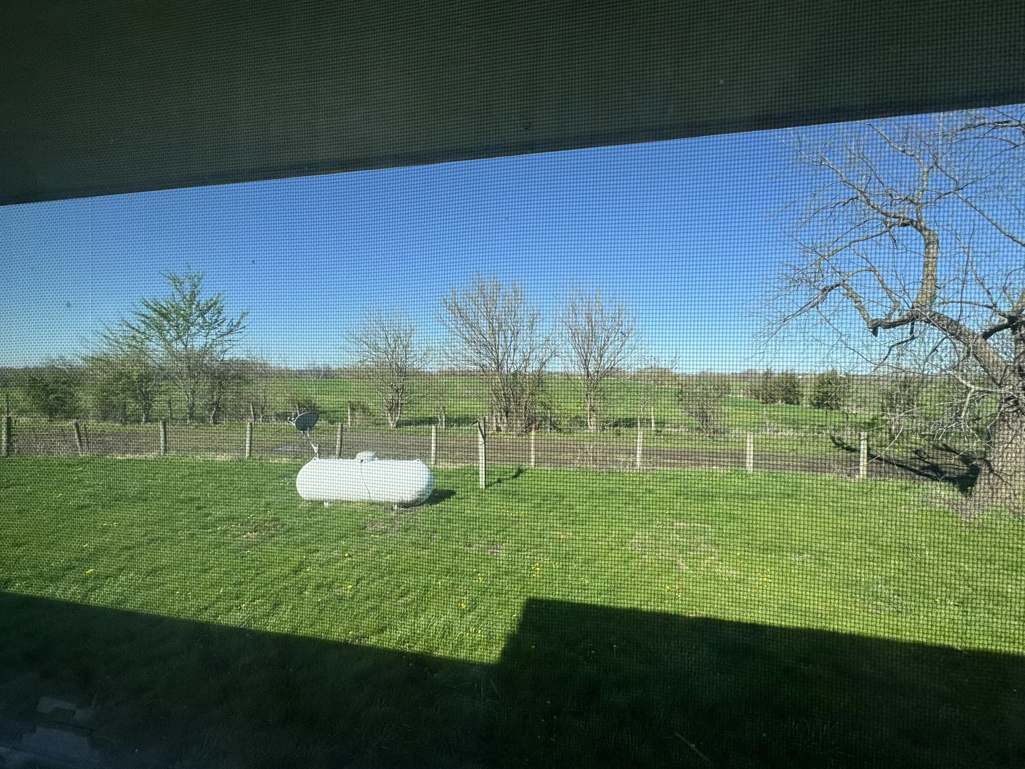 IMG_9937.JPEG