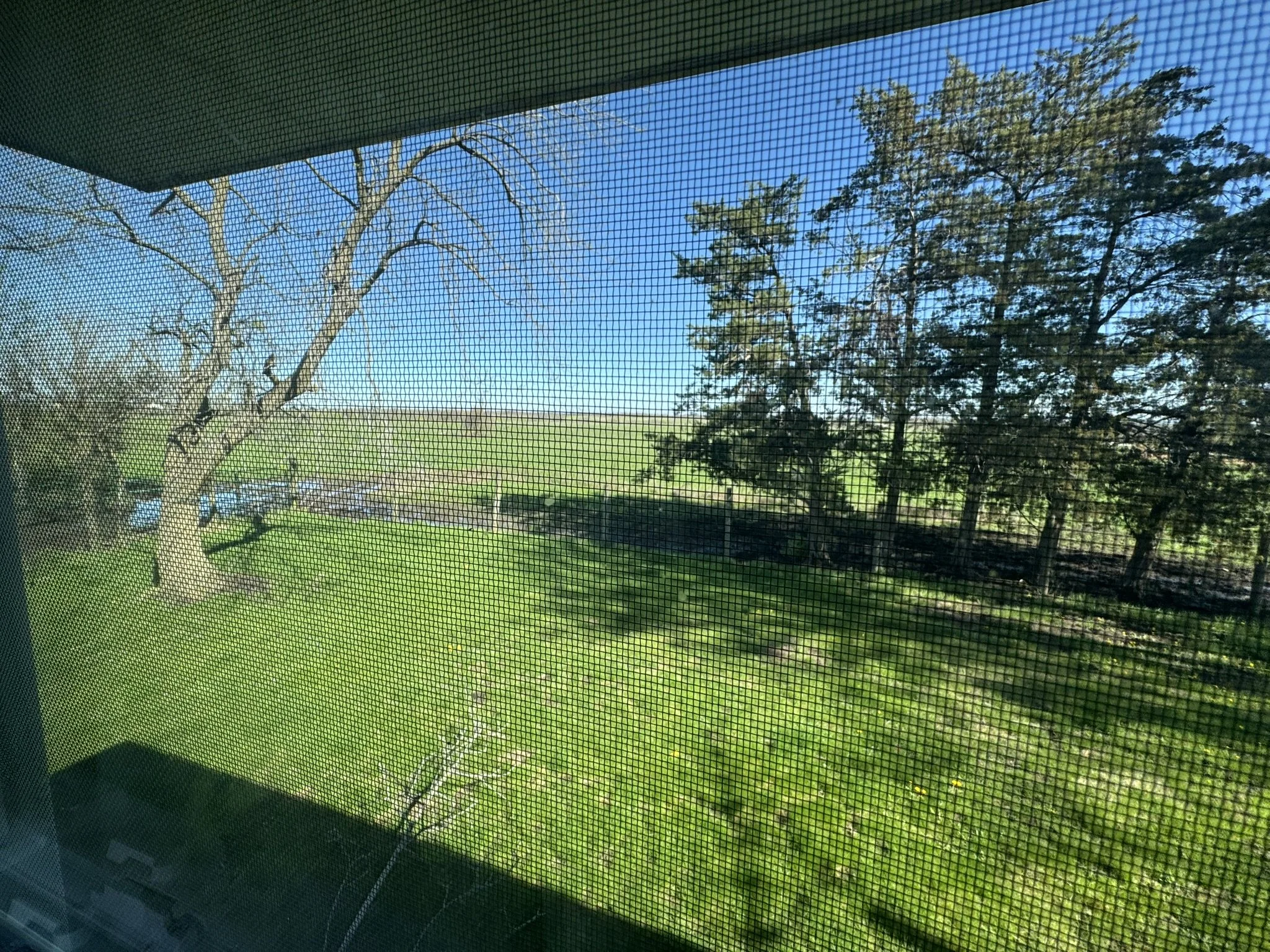 IMG_9946.JPEG