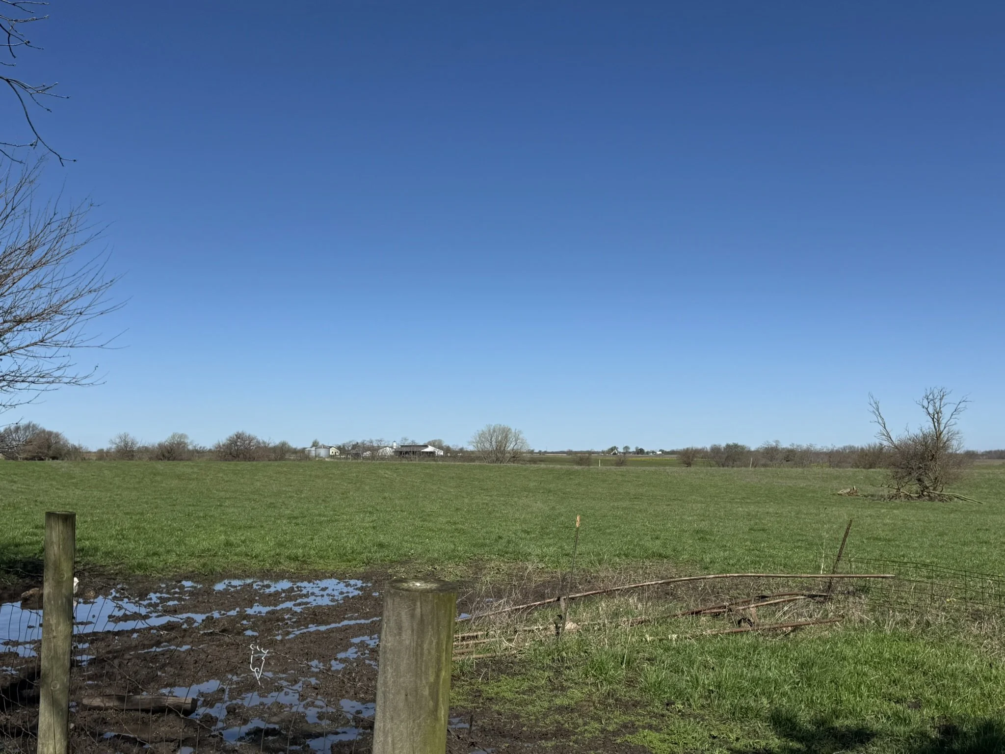 IMG_9960.JPEG