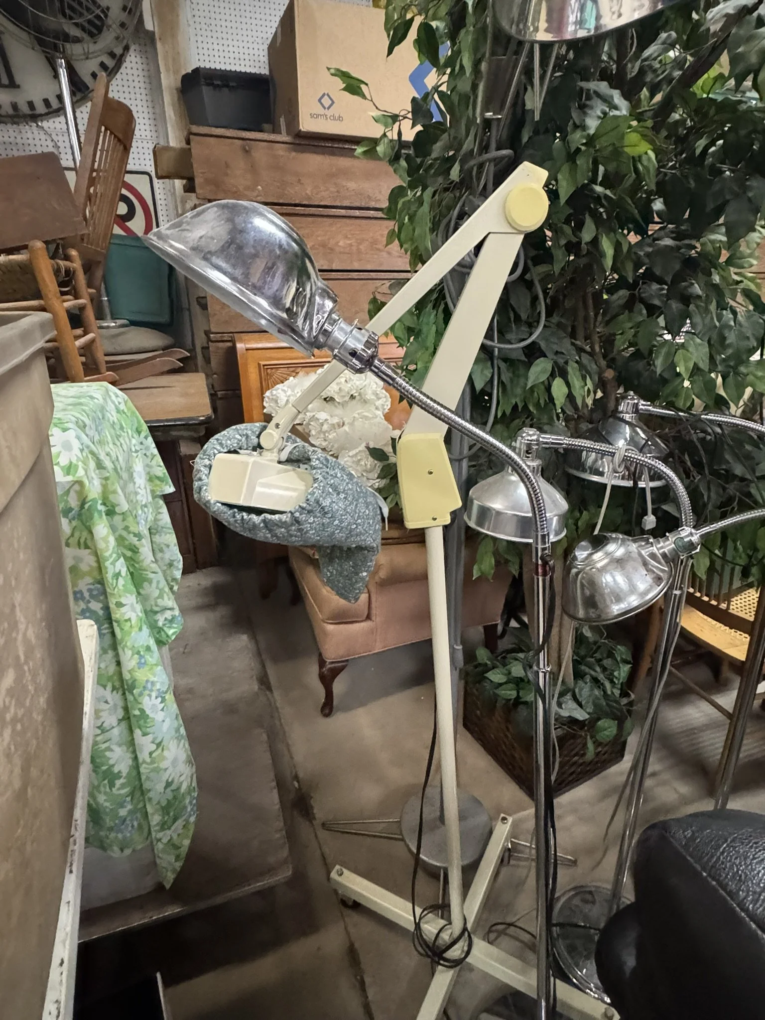IMG_4788.JPEG