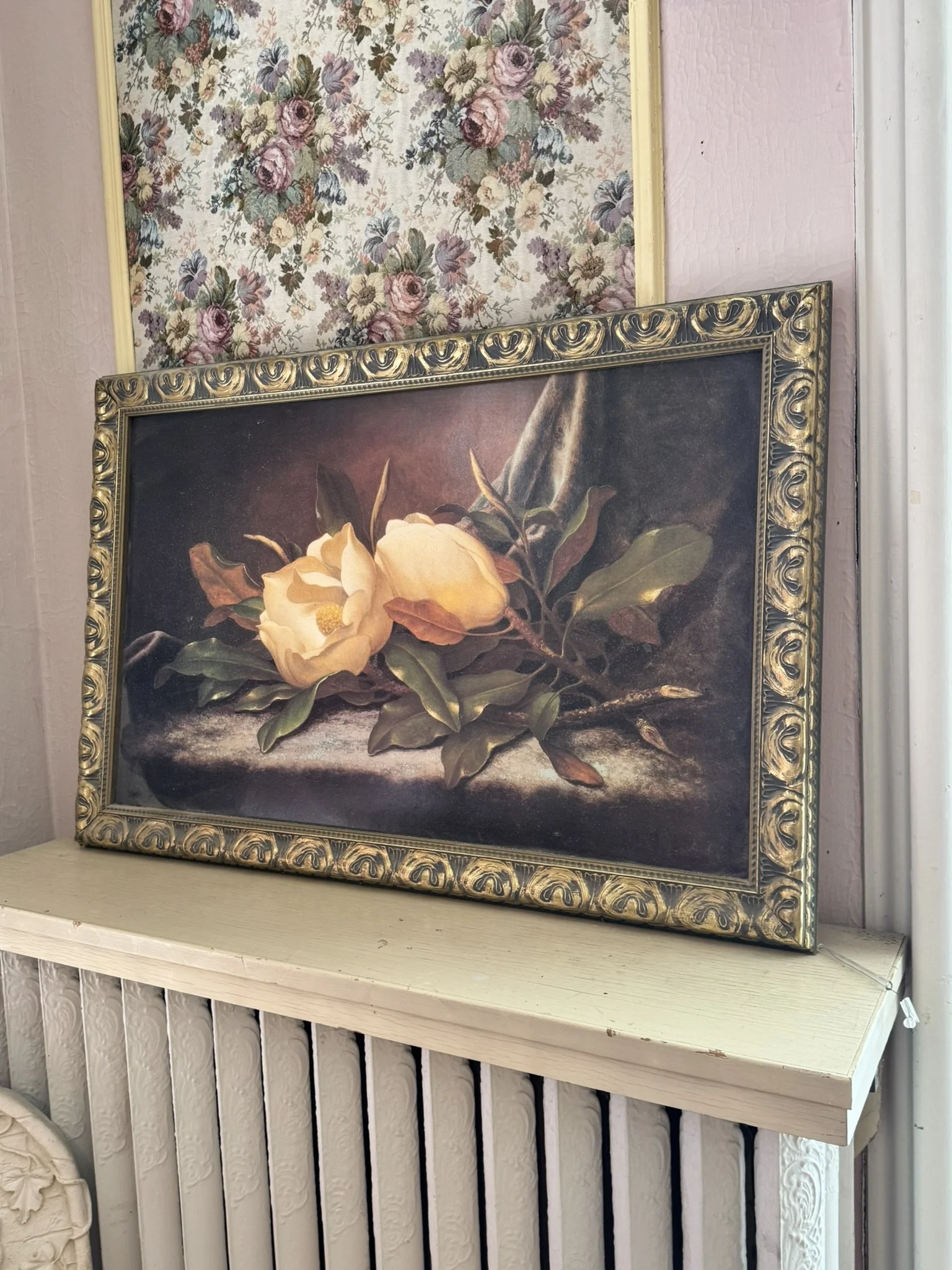 IMG_2557.JPEG