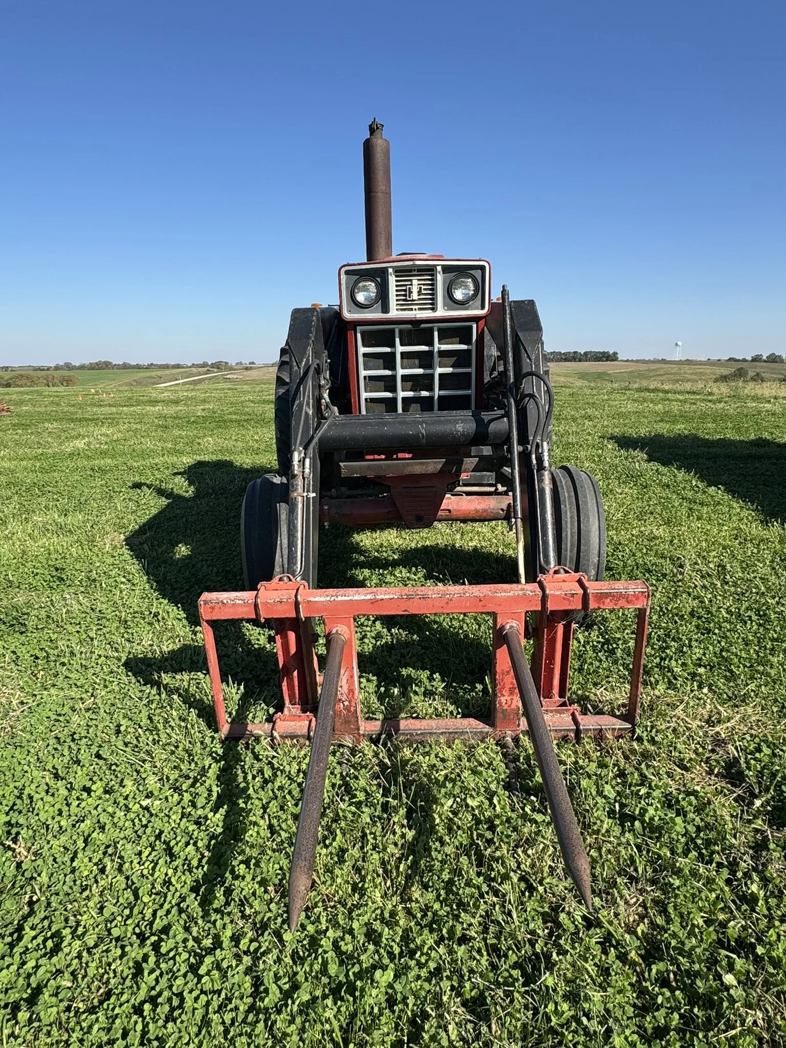 IMG_9310.JPEG