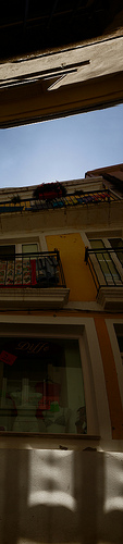 looking up.png