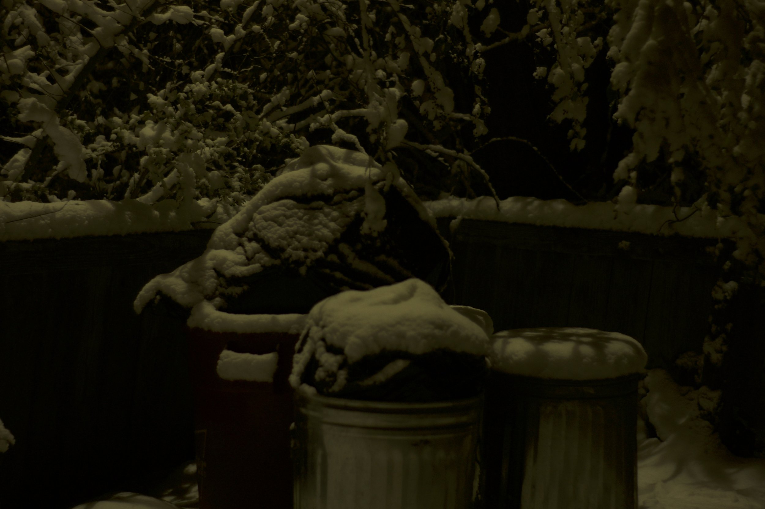 Snow trash.jpg