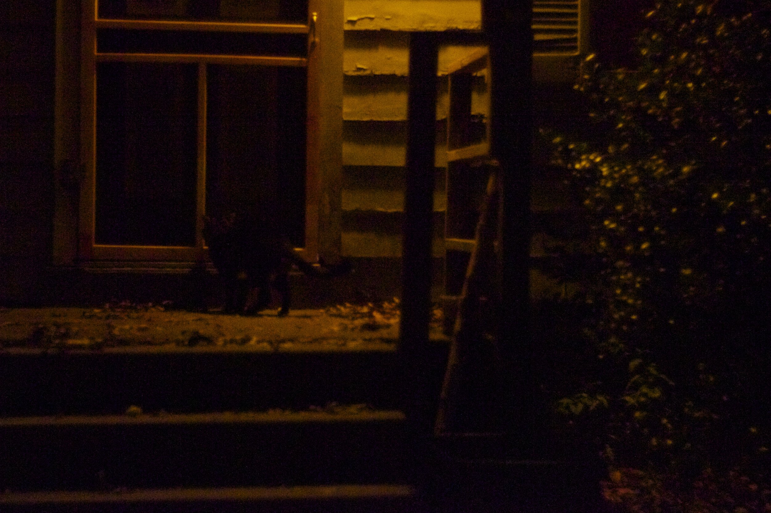 DSC08235.jpg