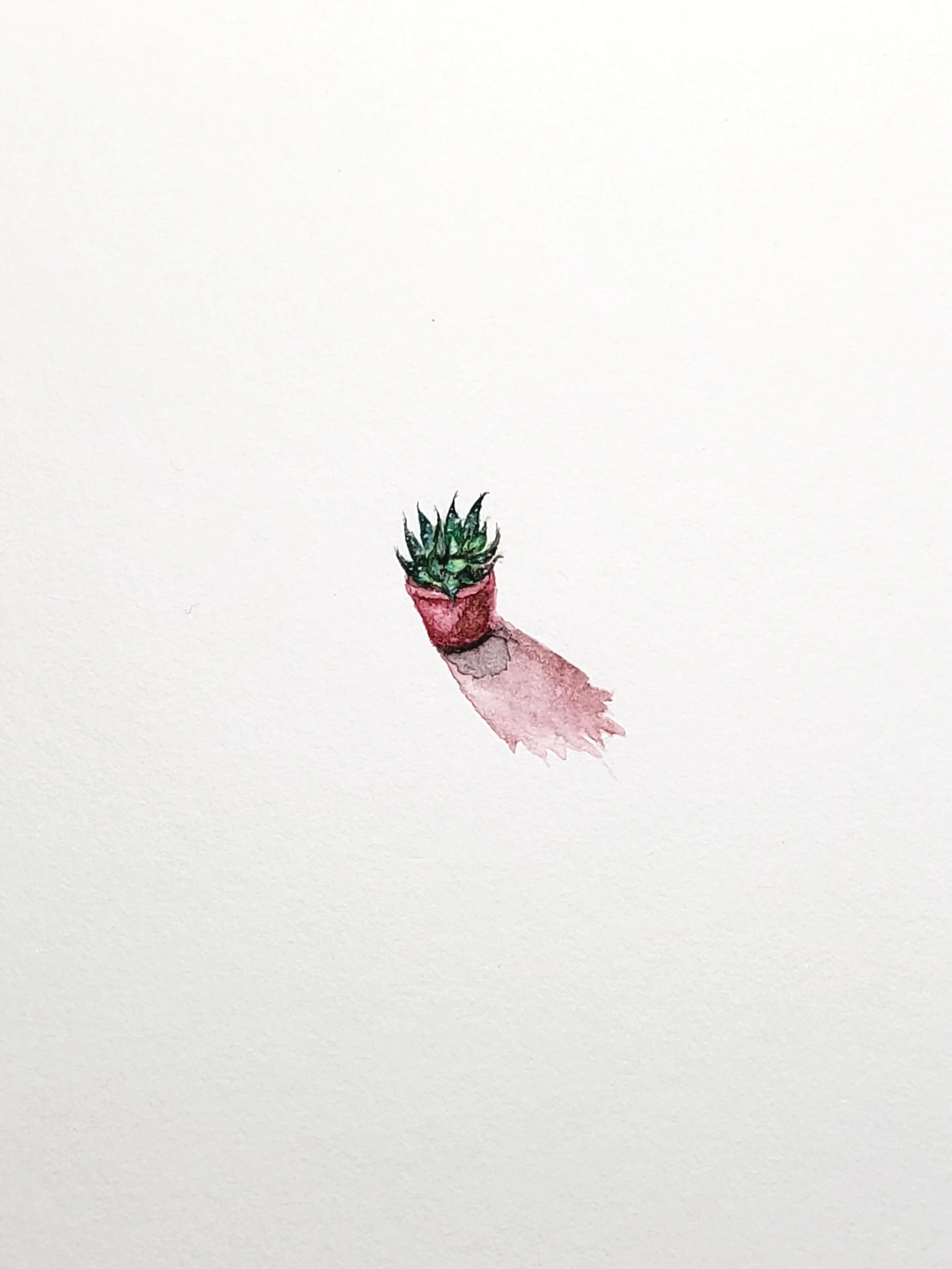 cactus.jpg