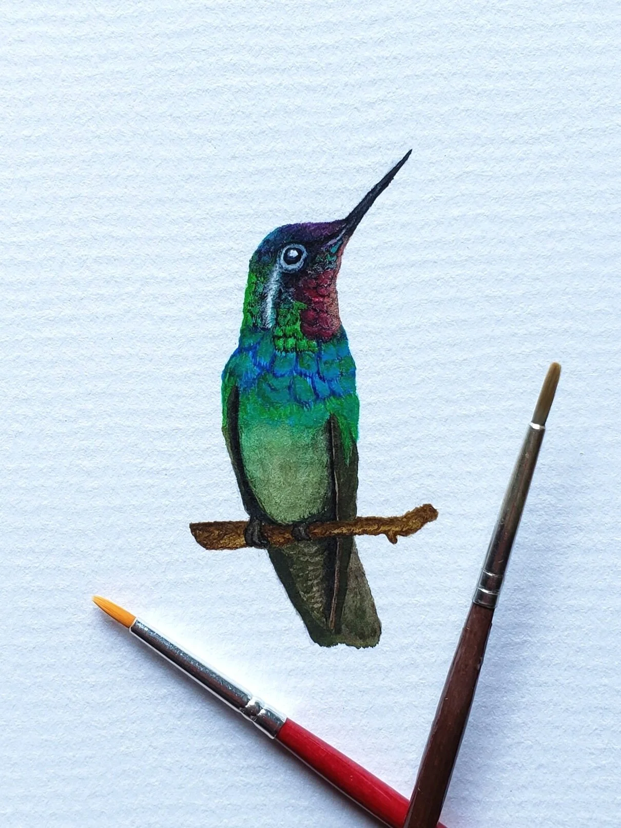 hummingbird.jpg