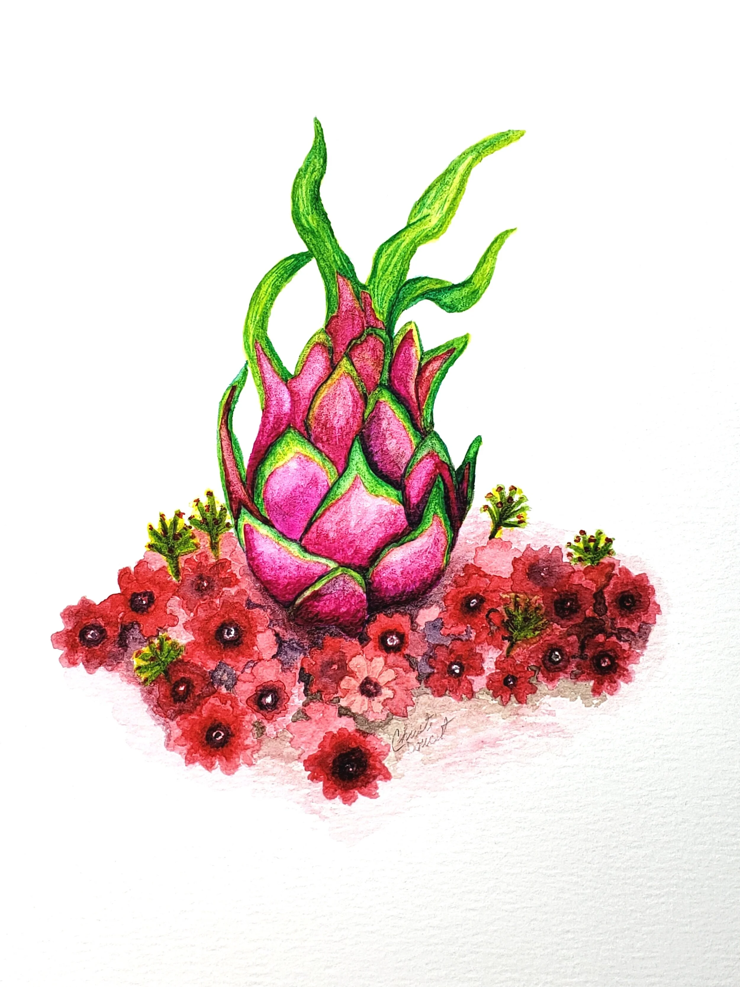 dragonfruit.jpg