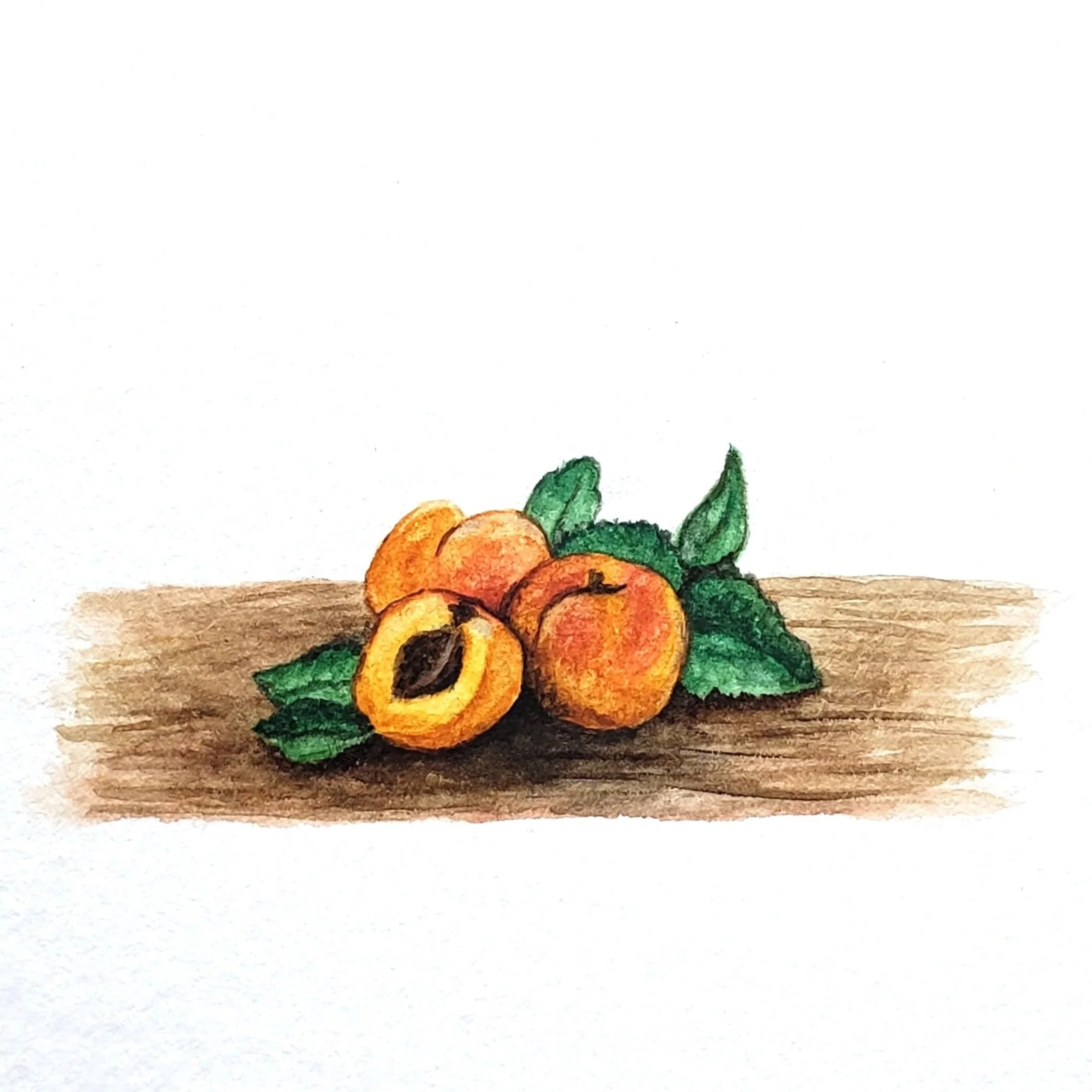 apricot.jpg
