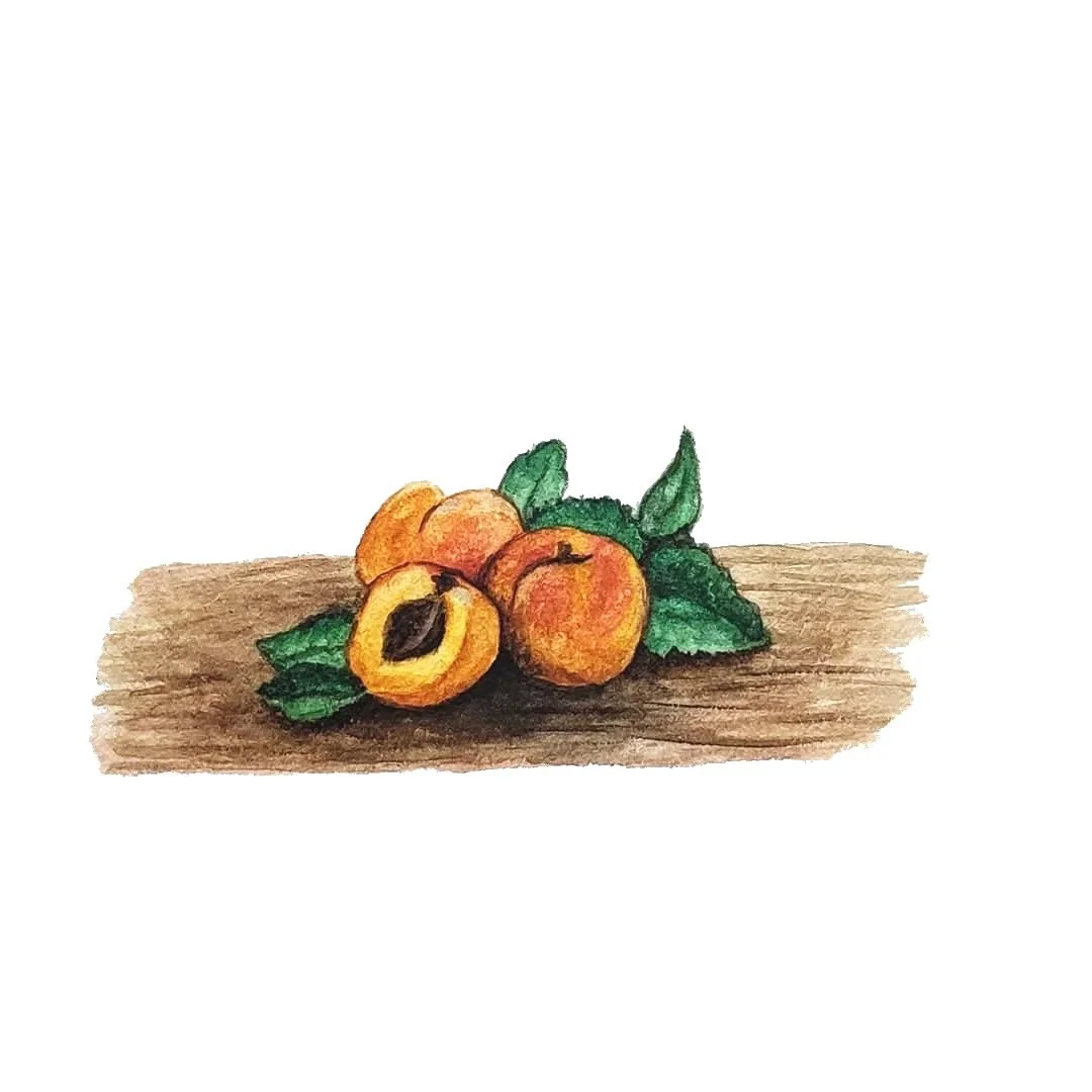 A watercolor painting of three apricots and green leaves on a textured brown wooden surface against a white background. One apricot is sliced in half, revealing the pit inside.