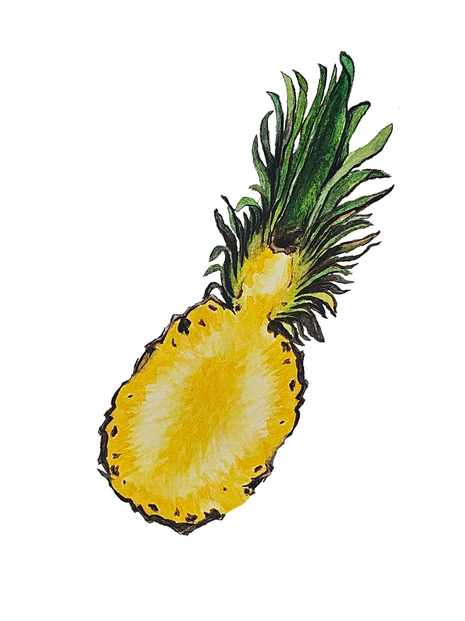 Web+pineapple.jpg