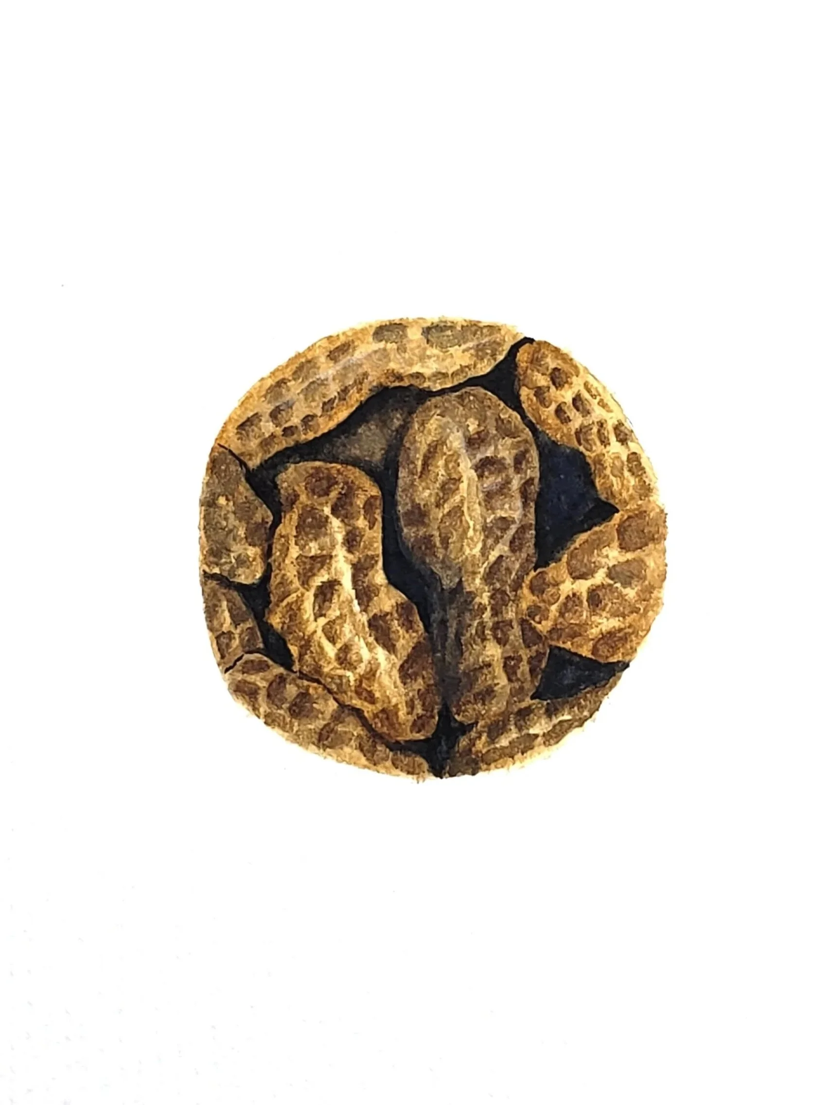A circular watercolor painting of several whole peanuts in their shells, tightly packed together and viewed from above against a white background.