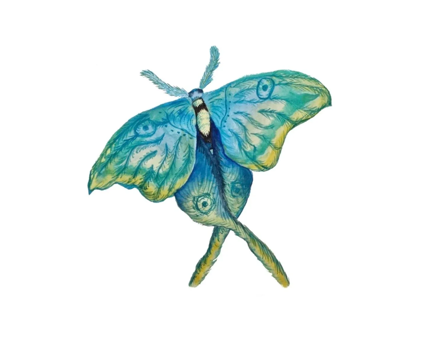 A watercolor painting of a blue and green moon moth. The moth features long, sweeping tails and intricate wing patterns.