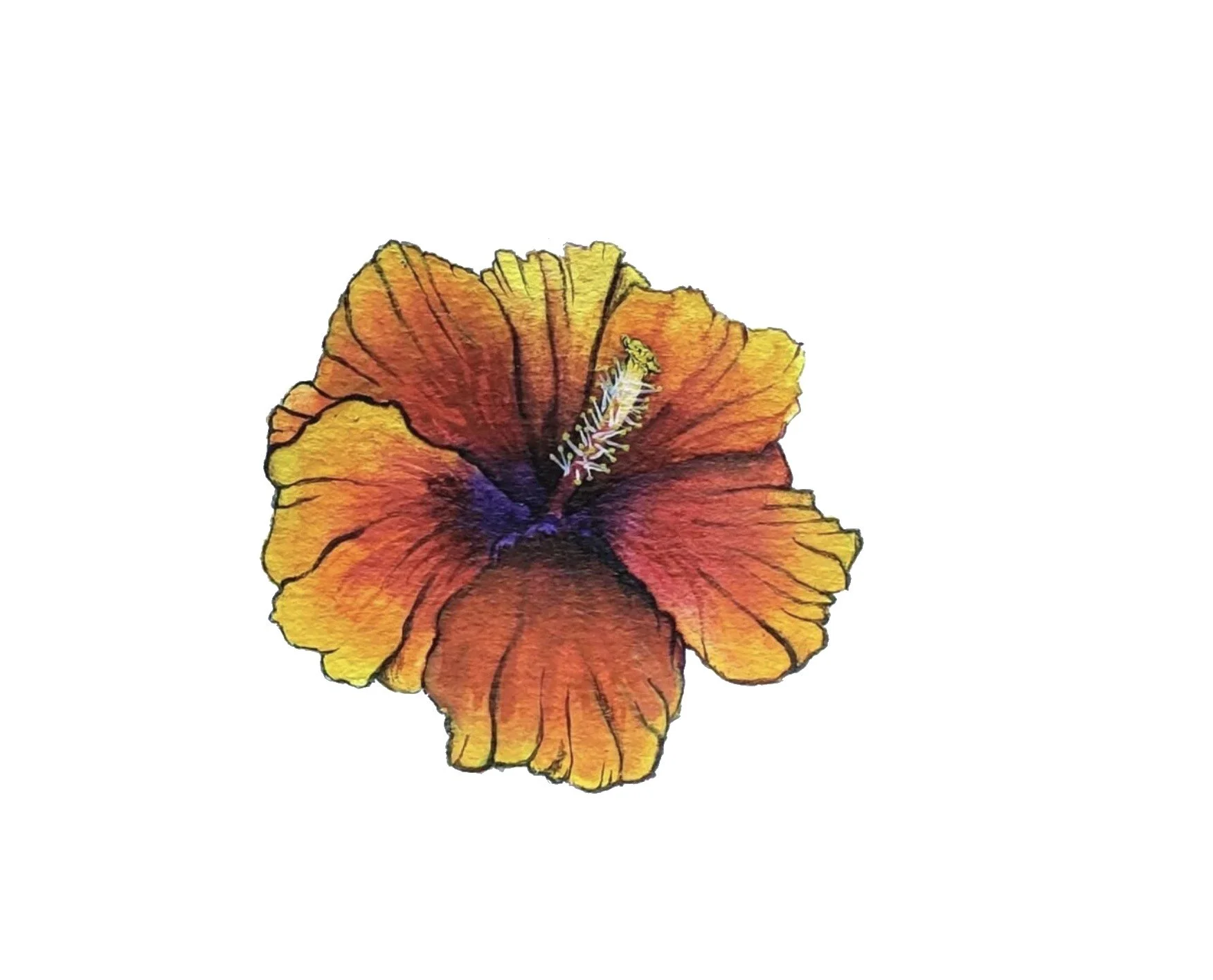 Watercolor painting of an orange and yellow hibiscus. 
