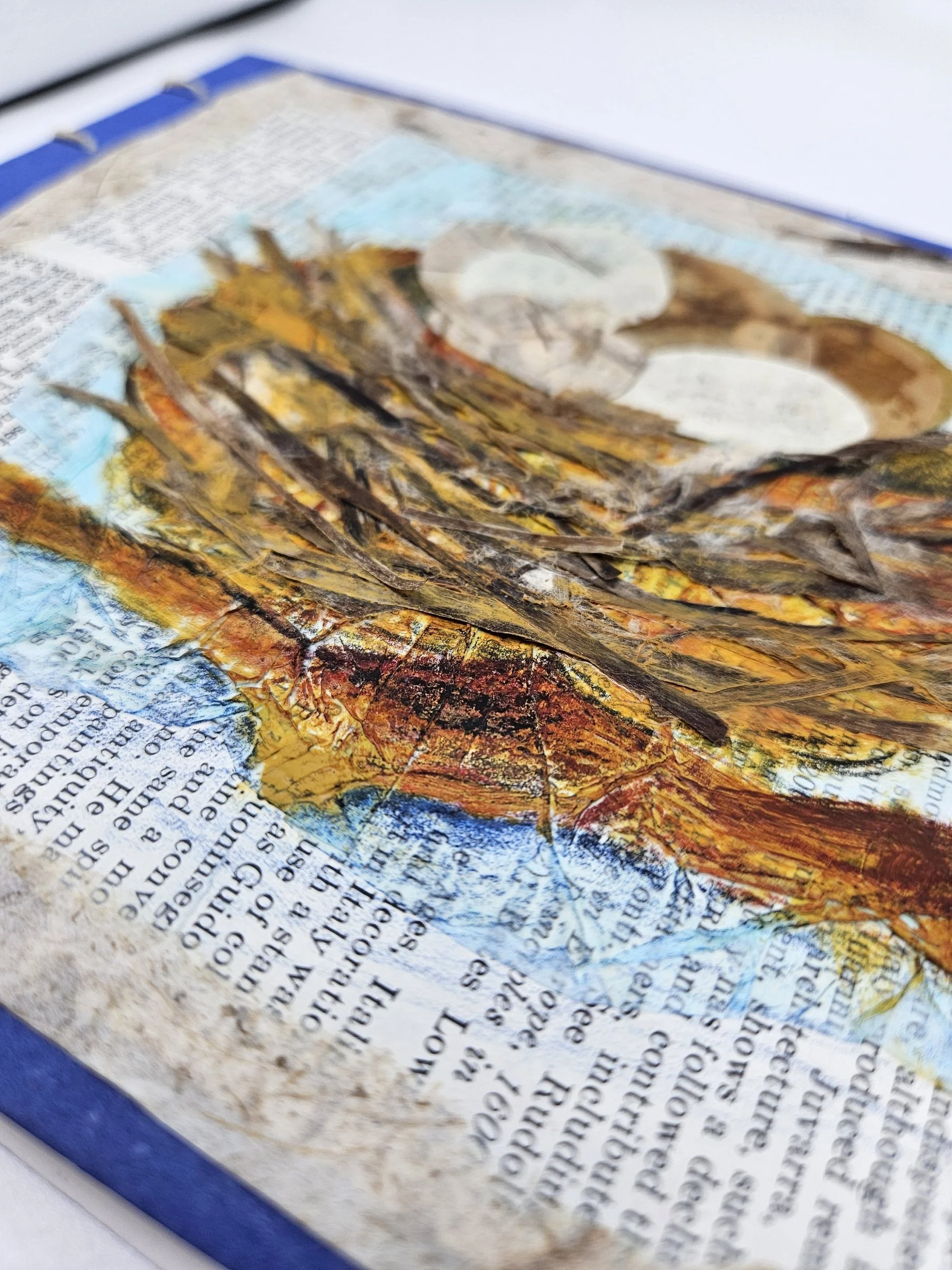 20260722_193448.jpeg