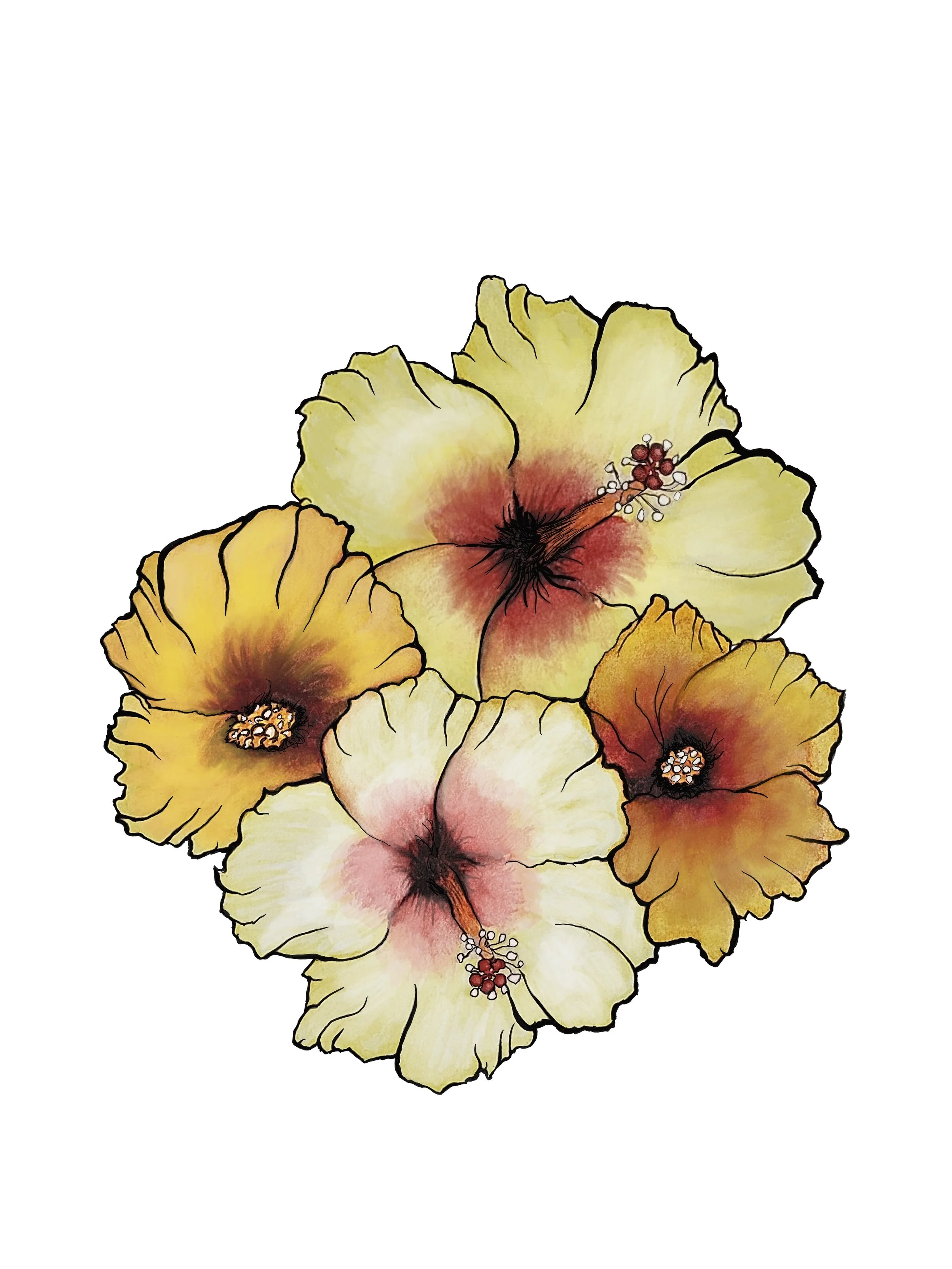 Web hibiscus.jpg