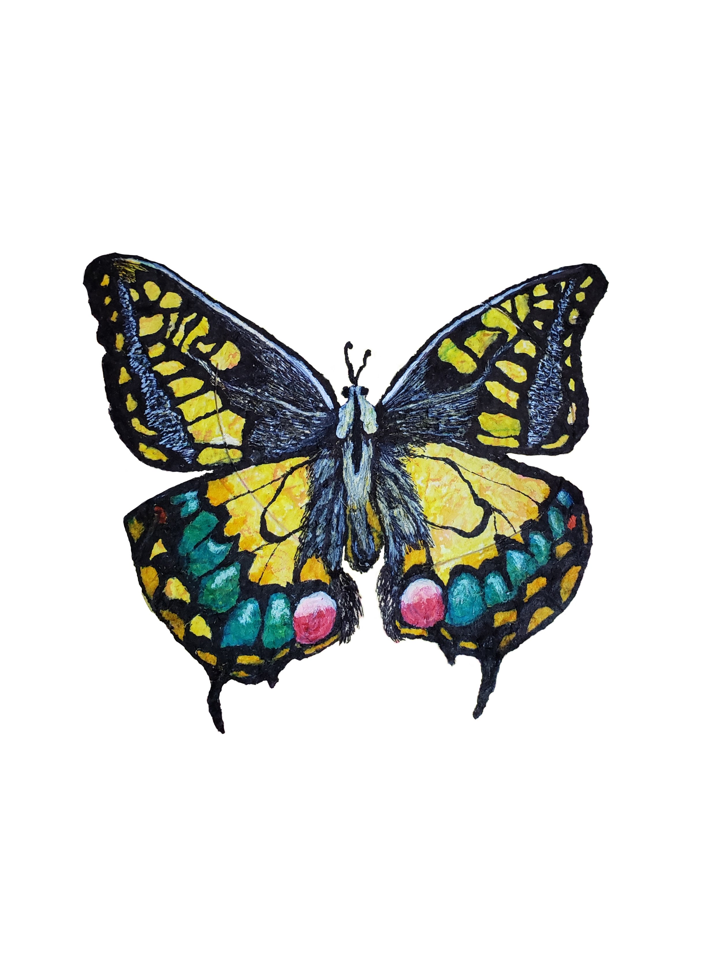 20230115_203421 WB.jpg