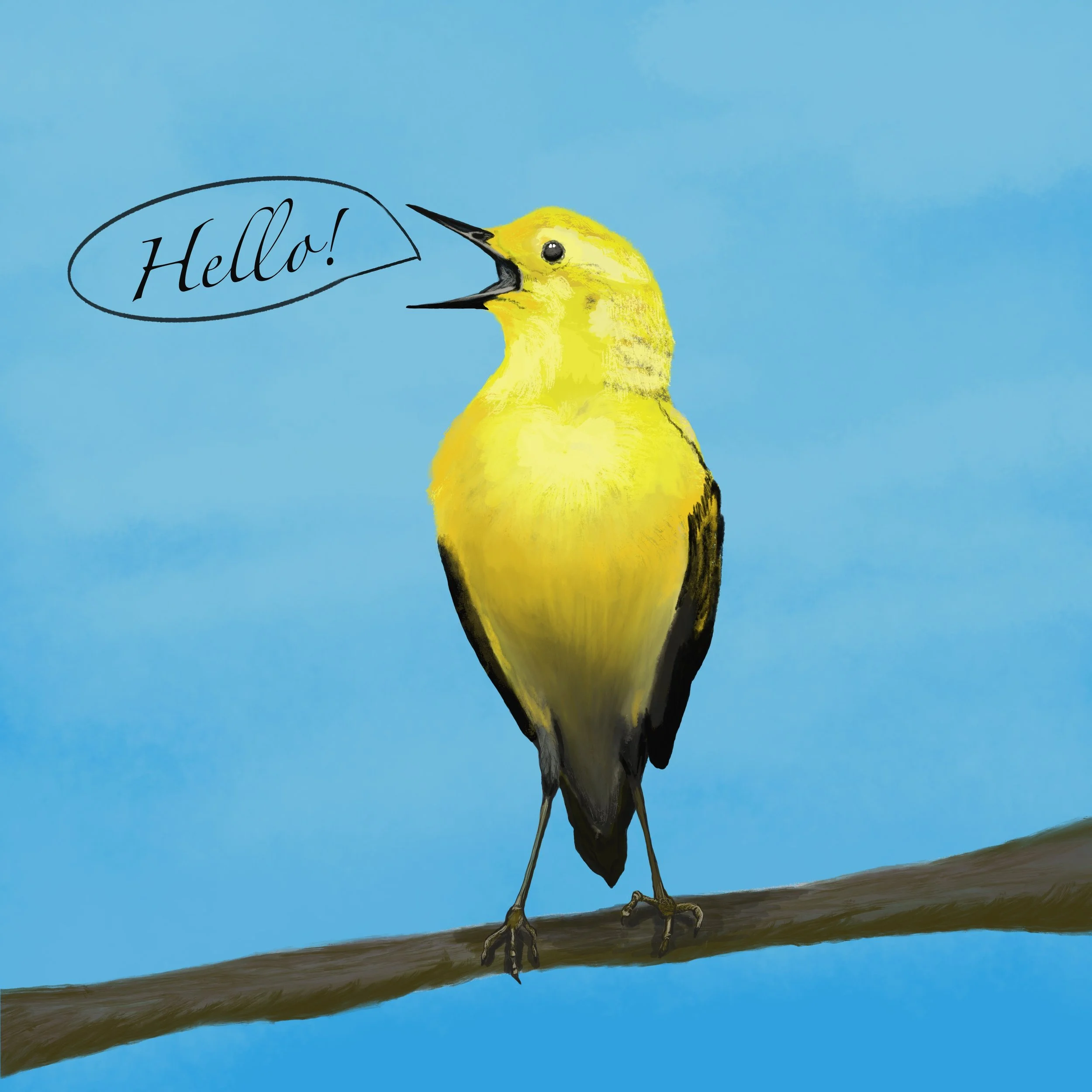 Bird hello.jpg