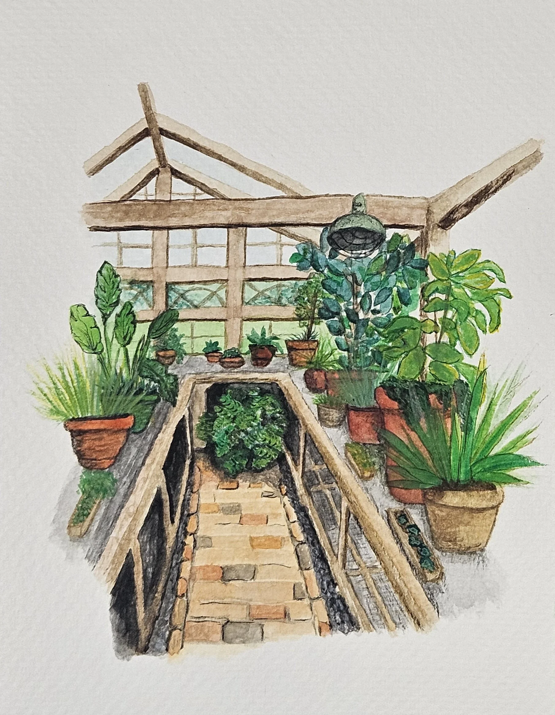 Christi Doucet_greenhouse fade.jpg