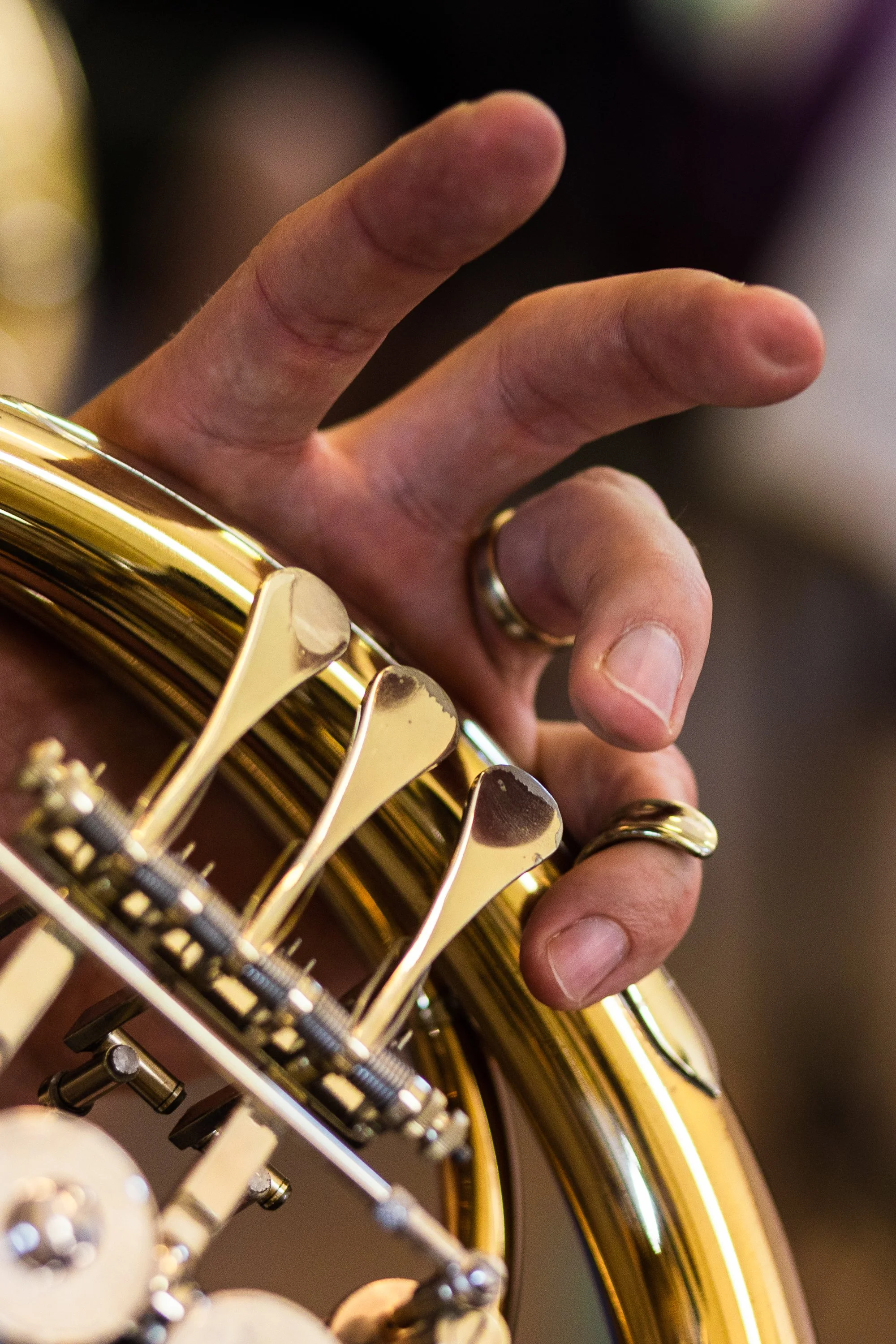 20230611_SM_Horns_Orchestra-15.jpg