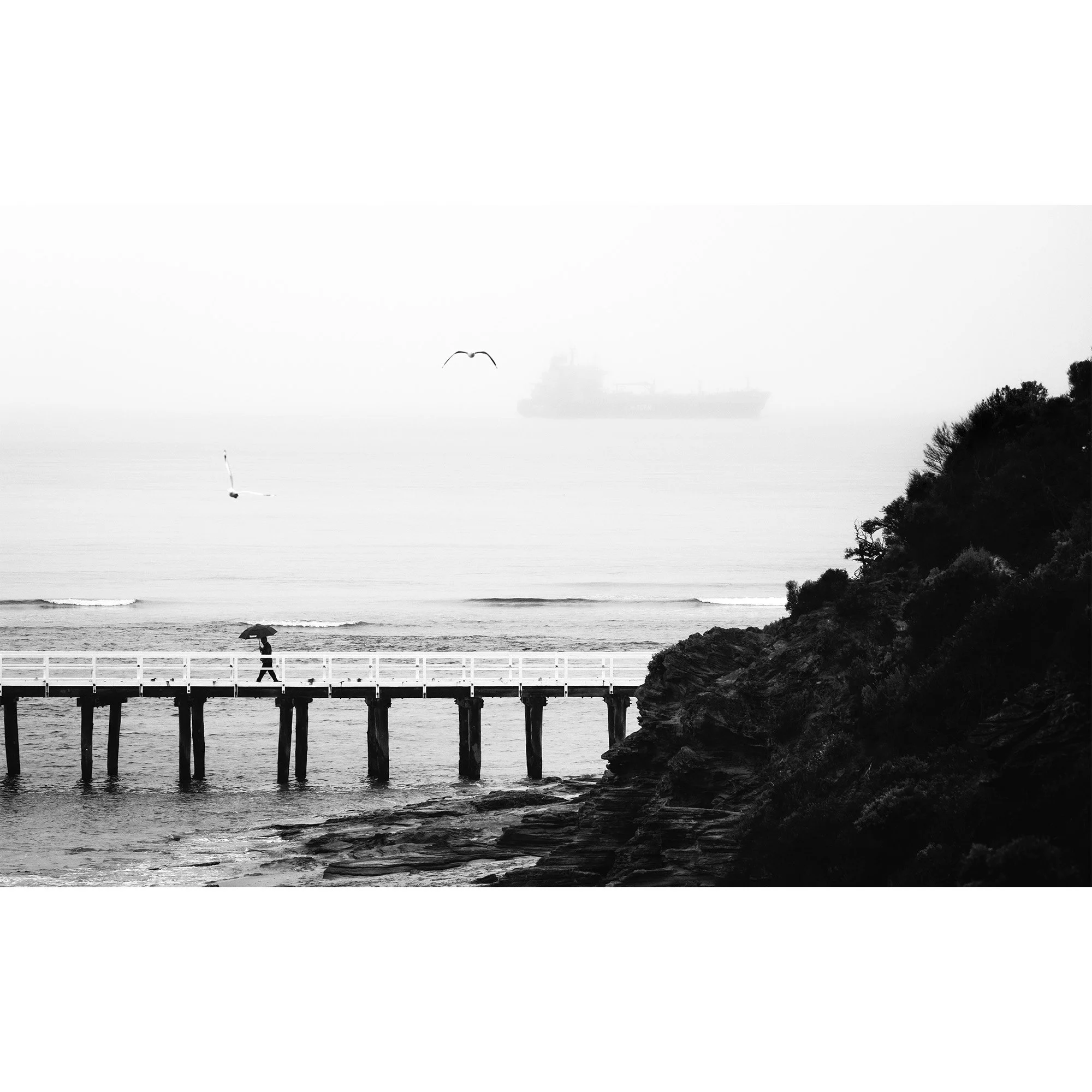 A foggy, wet day at Point Lonsdale_Website Image.jpg