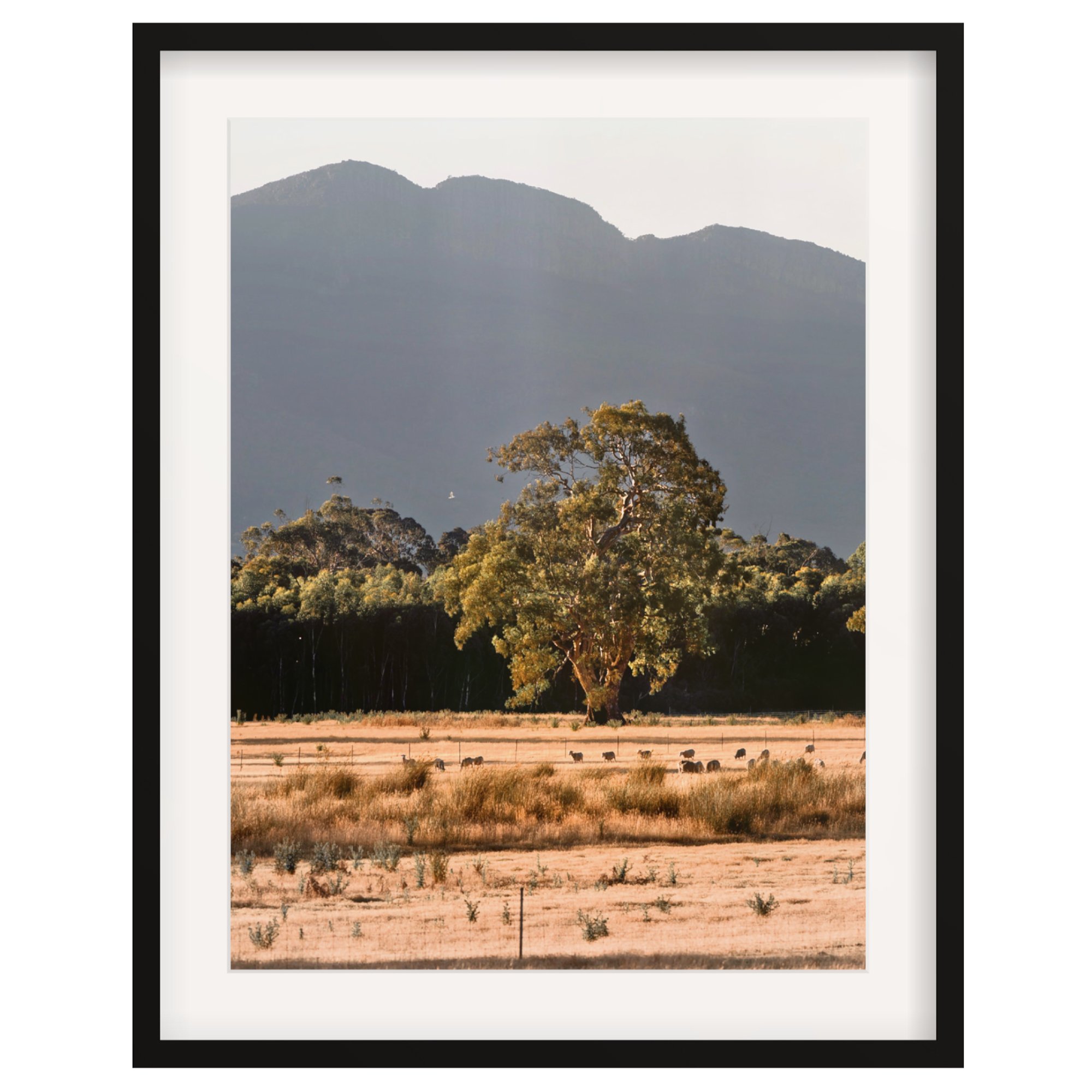 A Quintessential Outback Scene