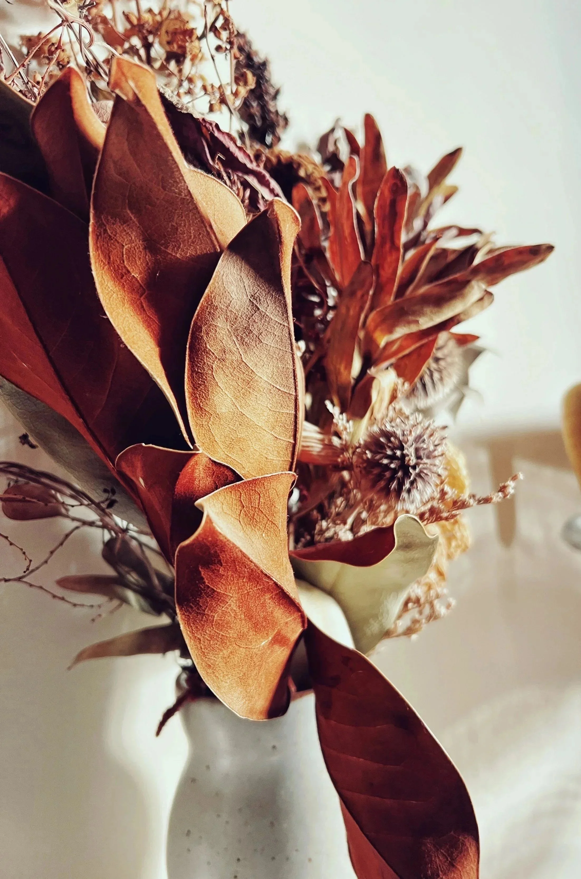 CloseUpFlowers.jpg