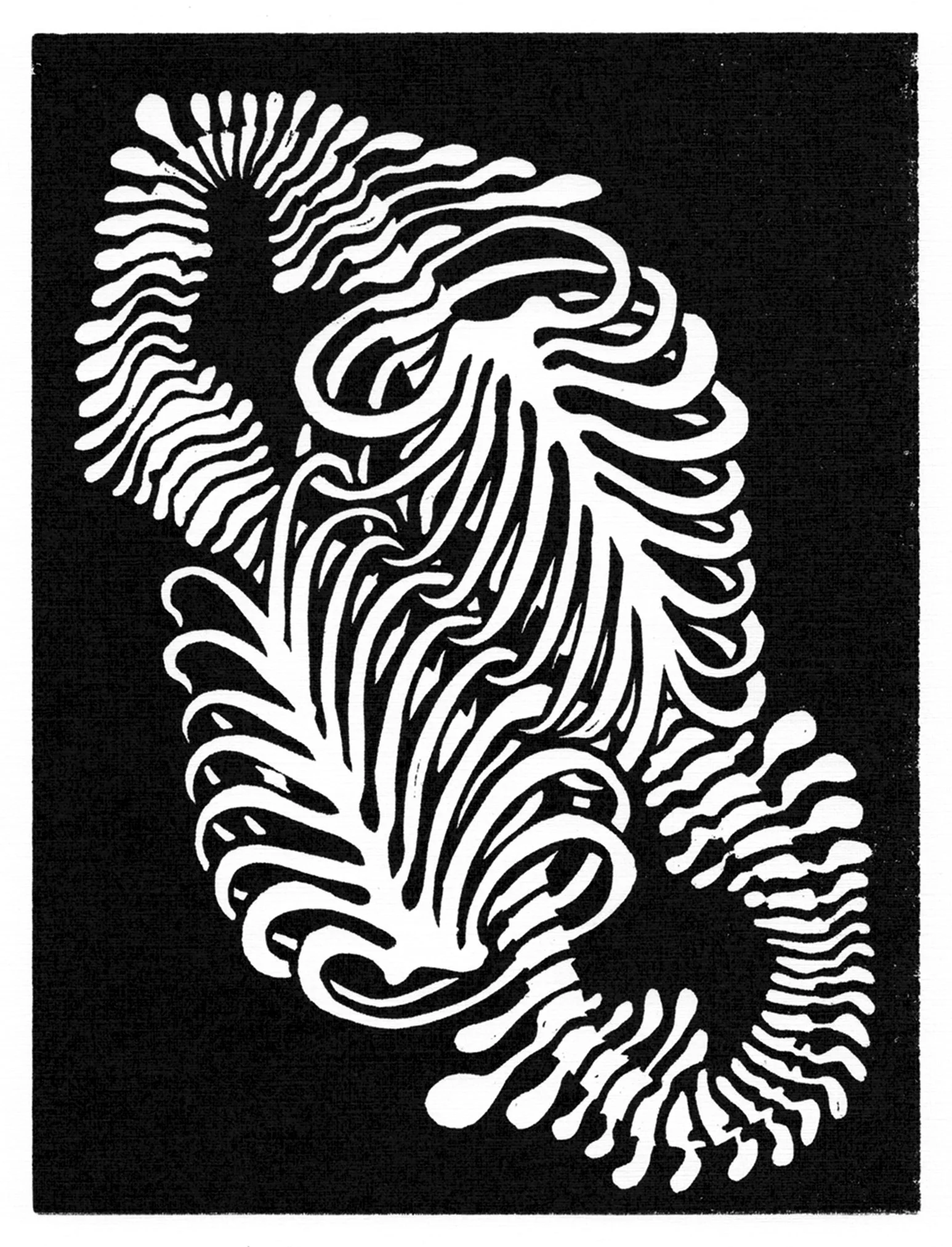 Oroborus for website.jpg