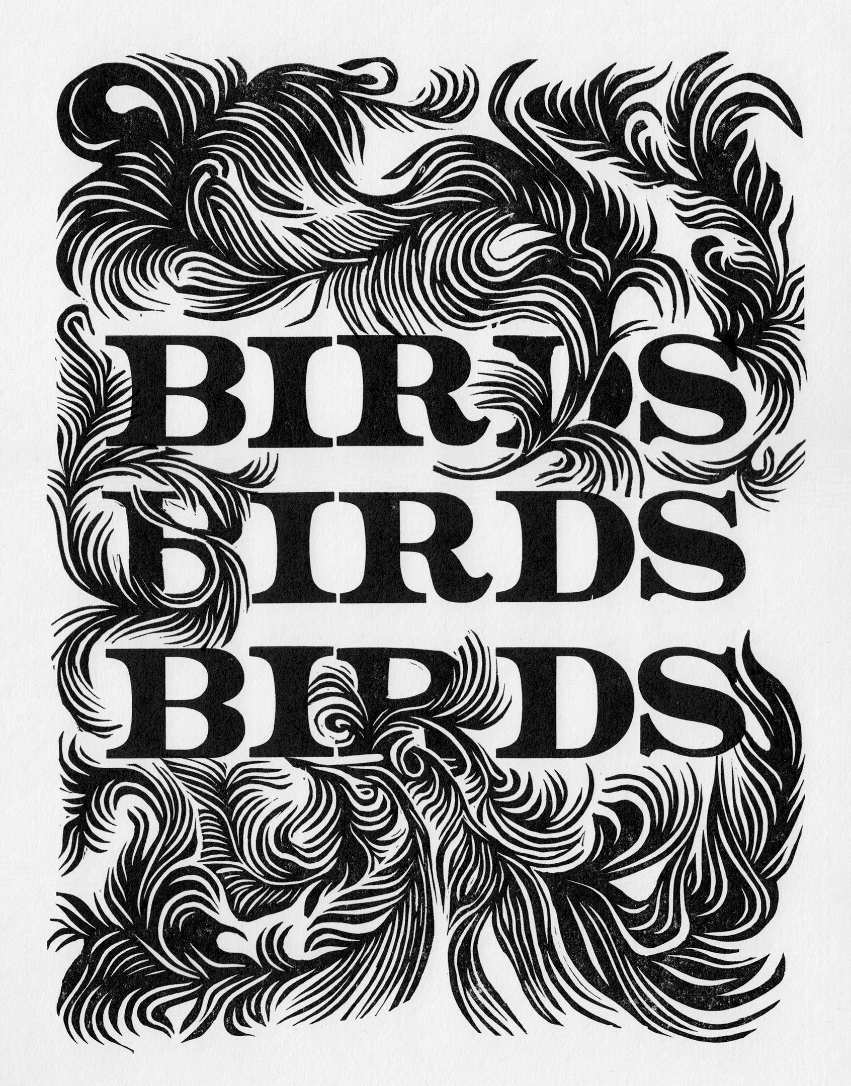 birdsbirdsbirds for website.jpg