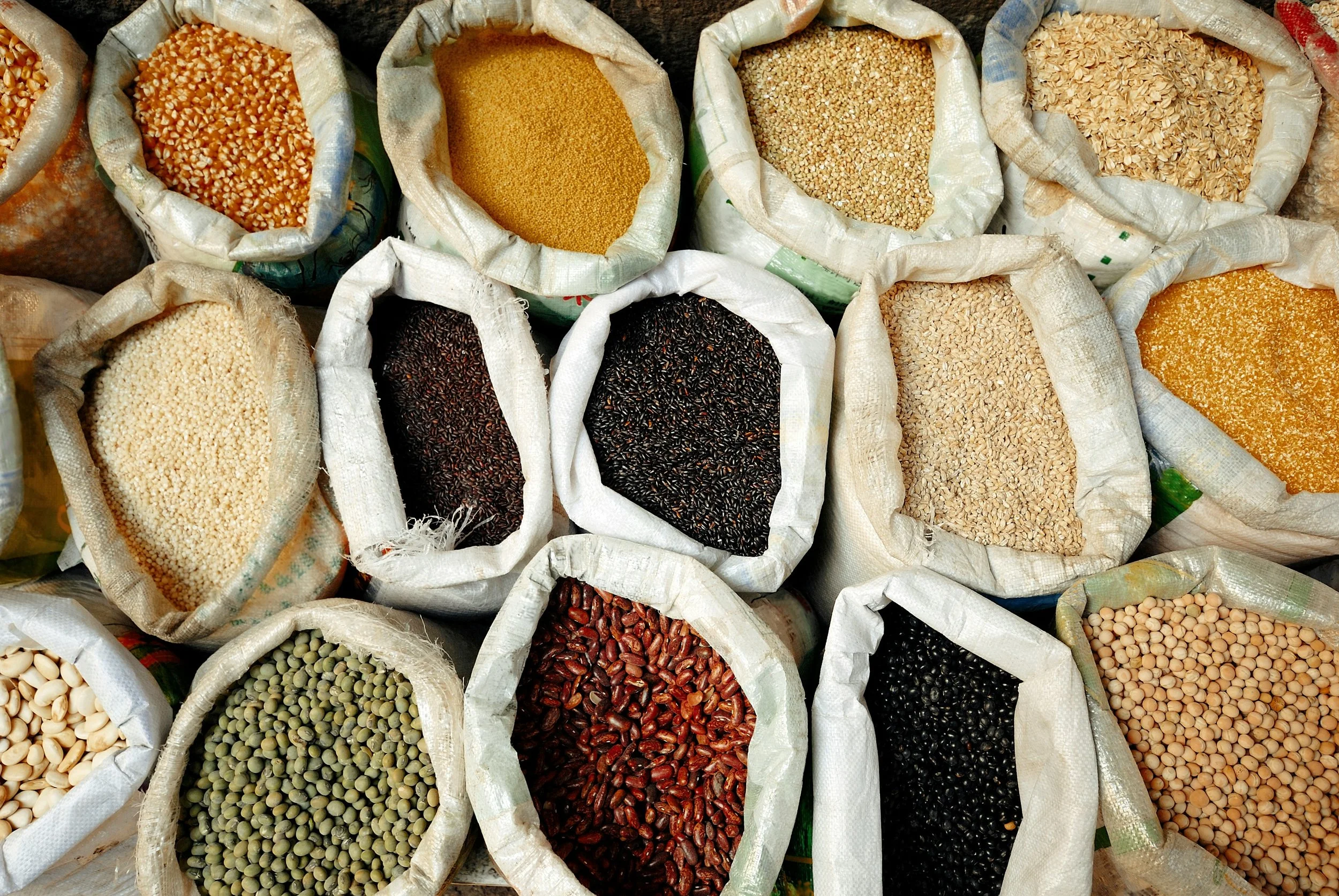 Understanding Microbiome Testing: What Really Matters for Your Child’s Gut