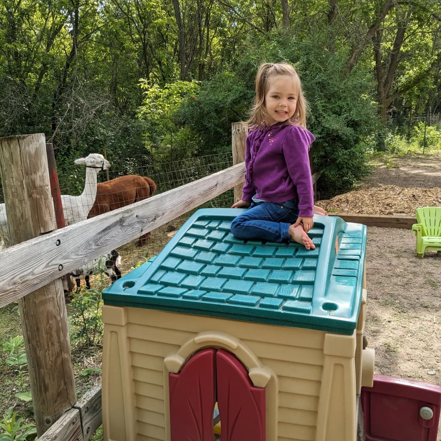 This past Saturday we had a great time at our first Family Farm Day! It was great weather, a great turn out, and there were lots of new neighbors to meet! 

If you missed it, come on out this Saturday between 8-2. And we might have something new in o